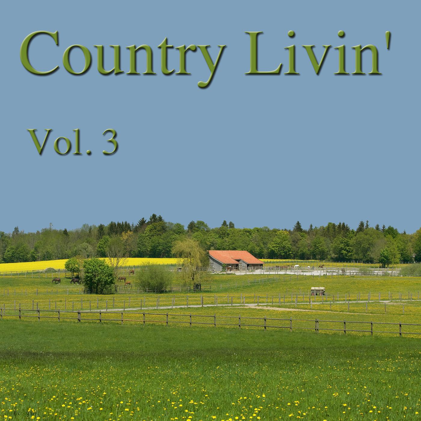 Country Livin' Vol. 3