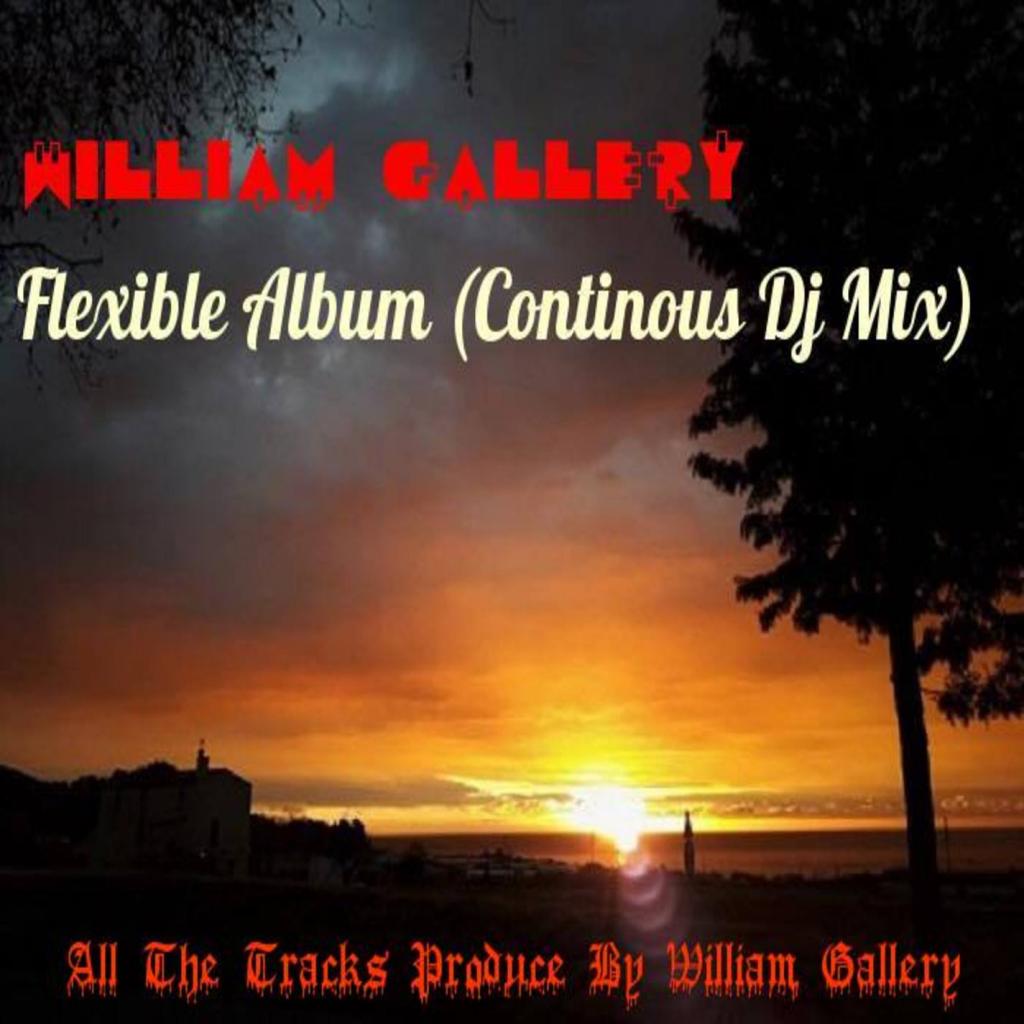 Flexible Album (Continuous Dj Mix)