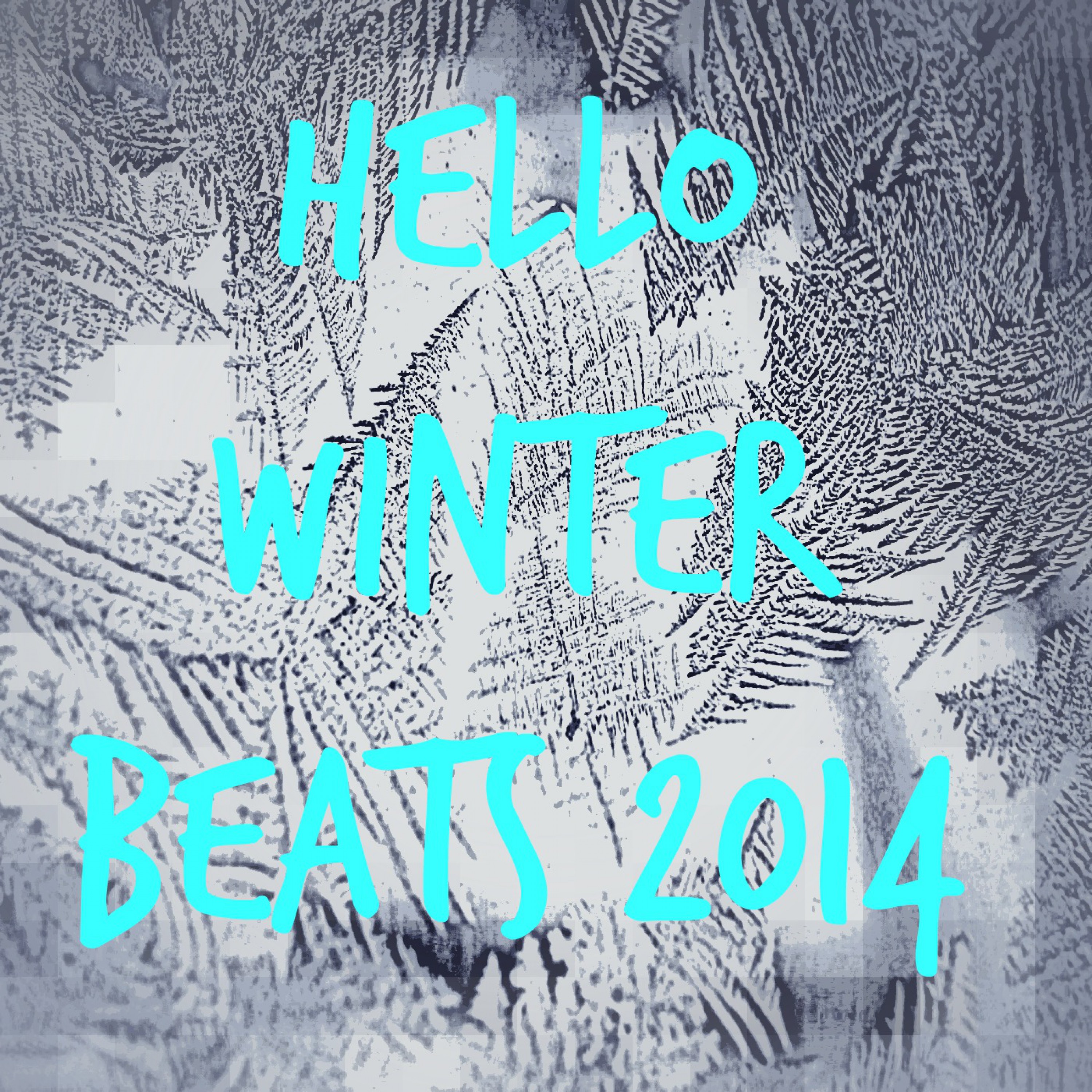 Hello Winter Beats 2014