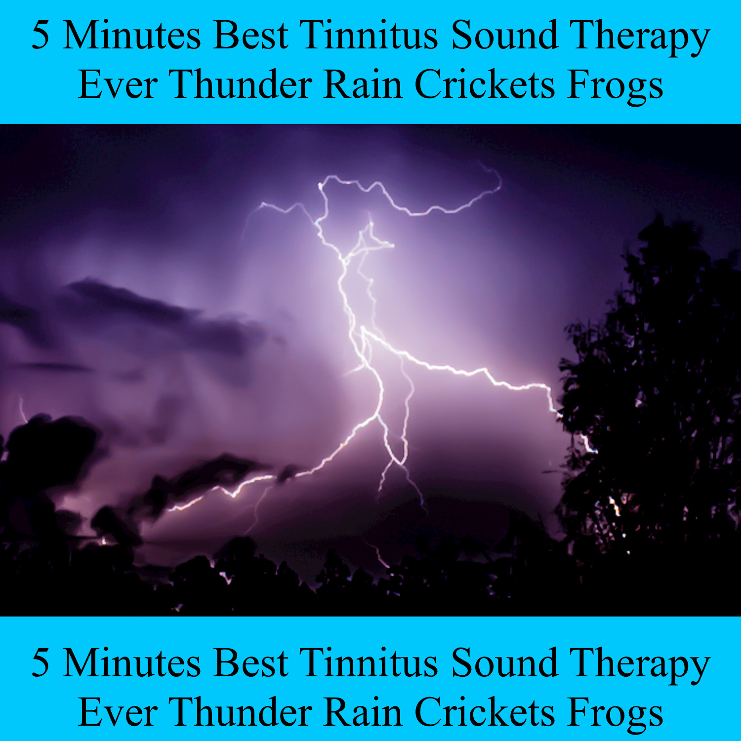 5 Minutes Best Tinnitus Sound Therapy Ever Thunder Rain Crickets Frogs