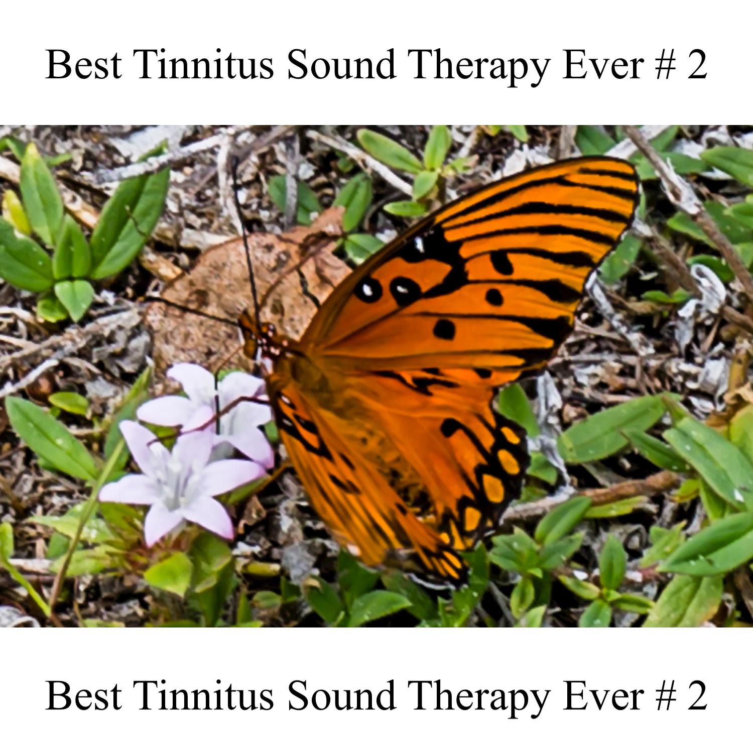 Best Tinnitus Sound Therapy Ever # 2