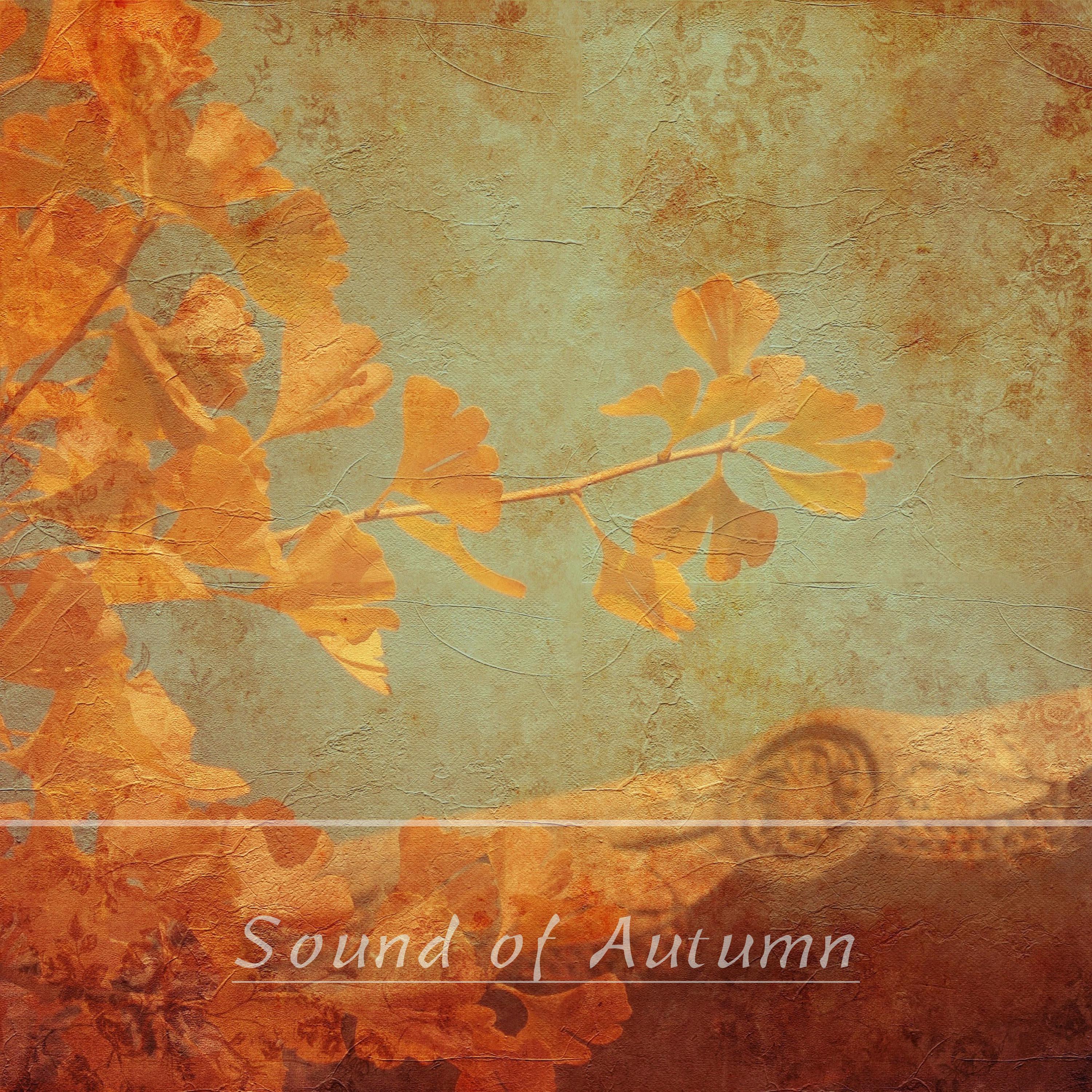 Sound of Autumn