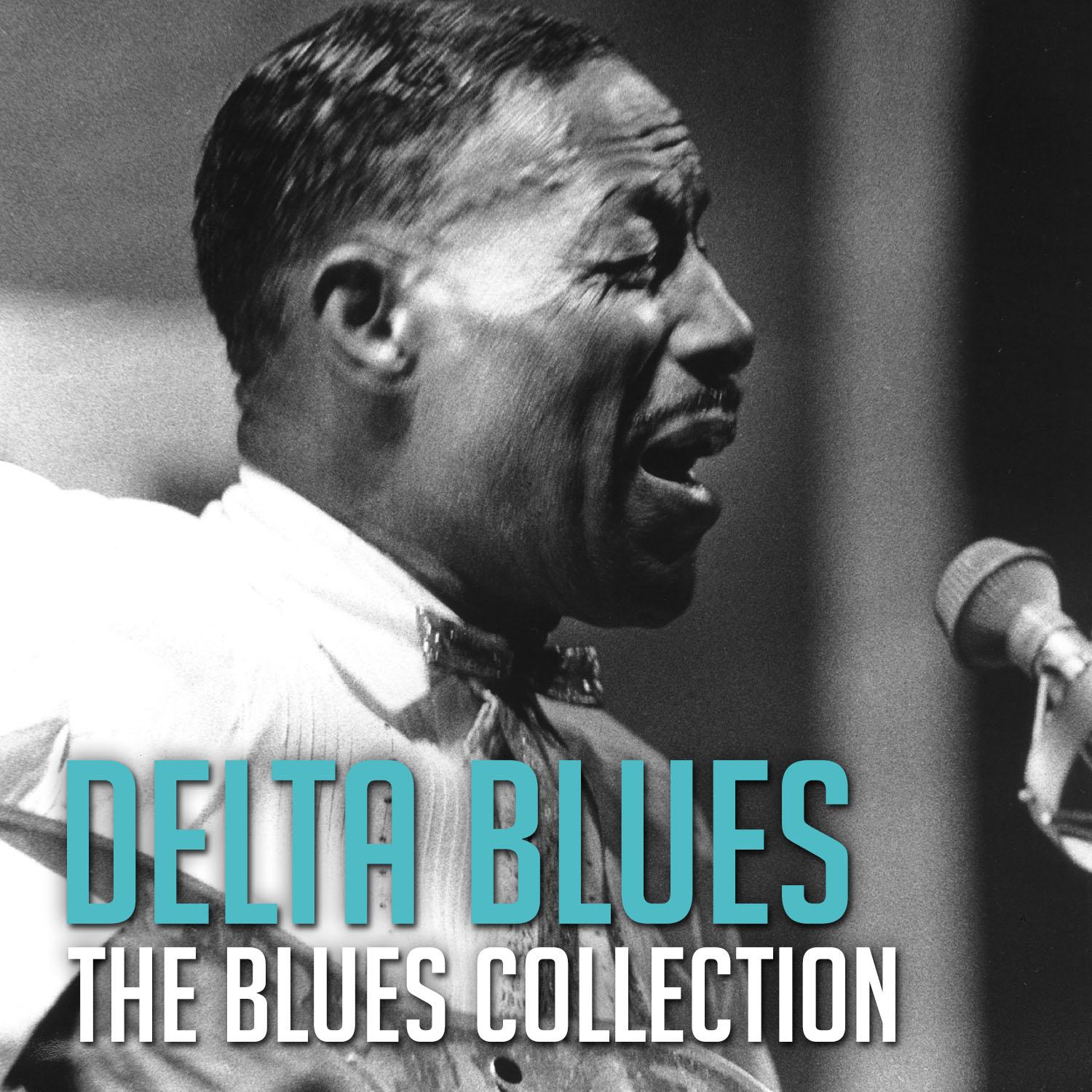 The Blues Collection: Delta Blues