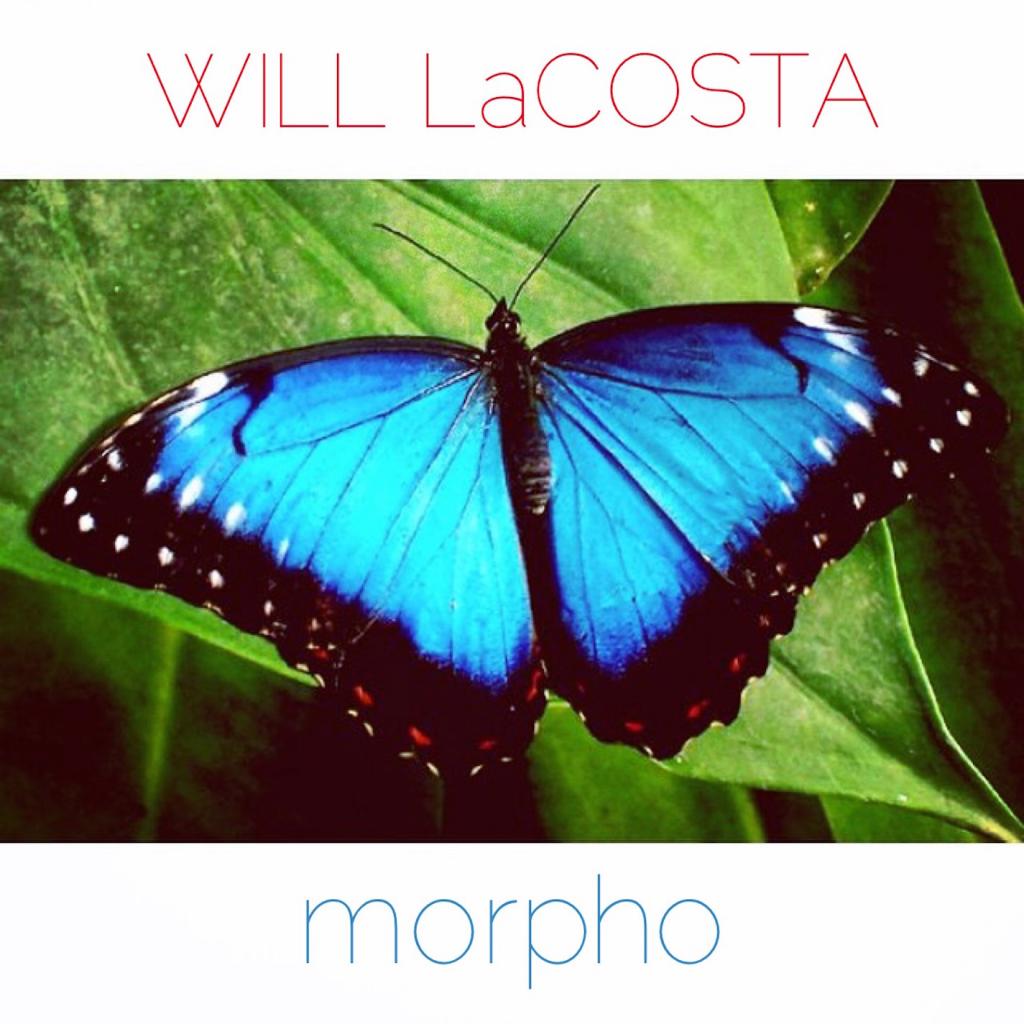 Morpho