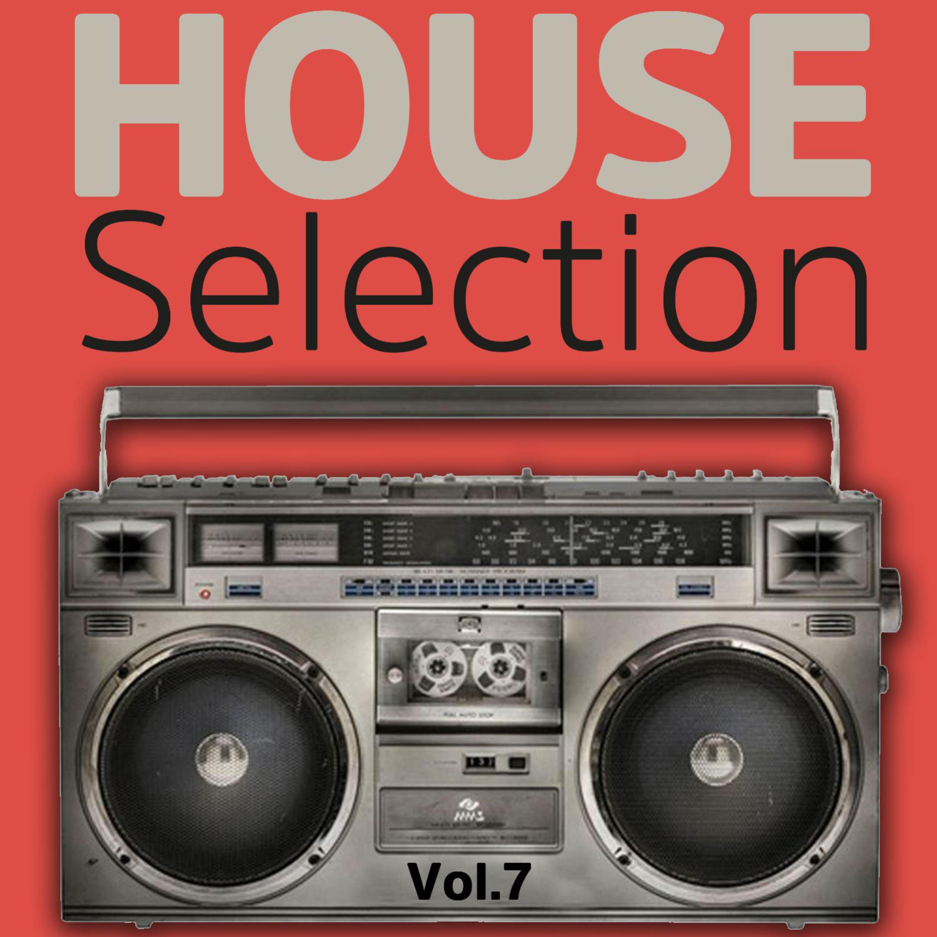 House Selection, Vol. 7