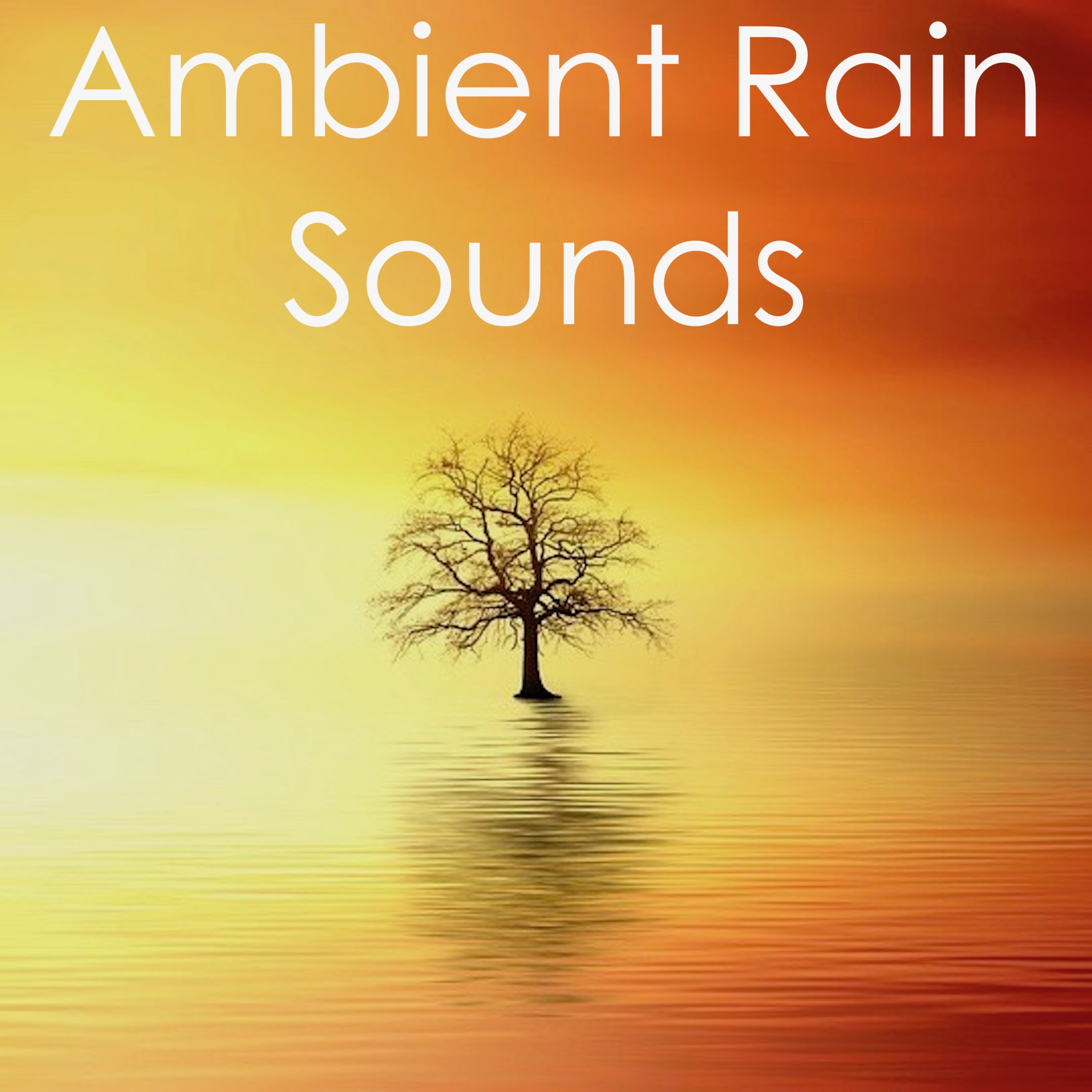 17 Ambient Rain Sounds for Deep Sleep and Natural Yoga Background Music