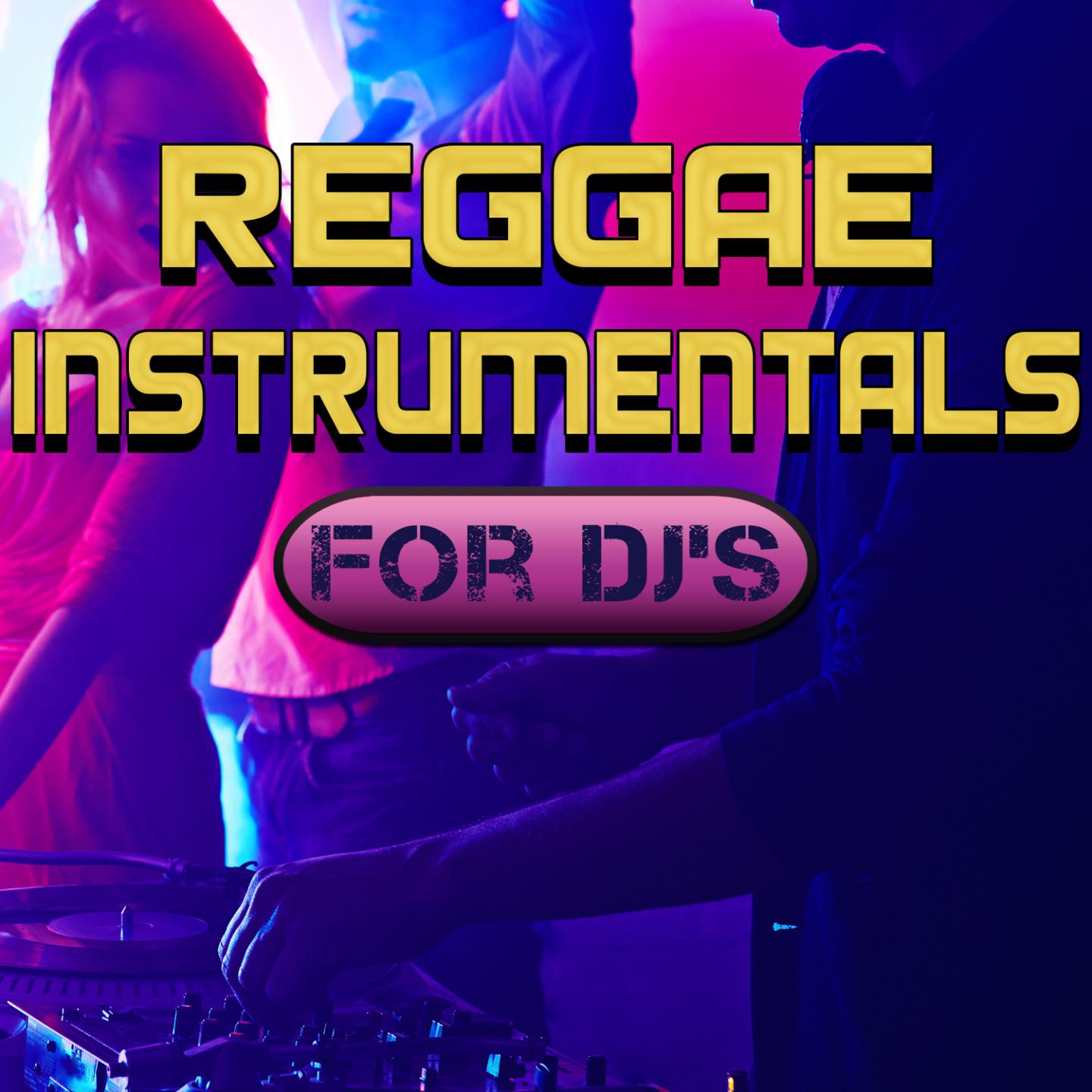 Reggae Instrumentals for DJ's