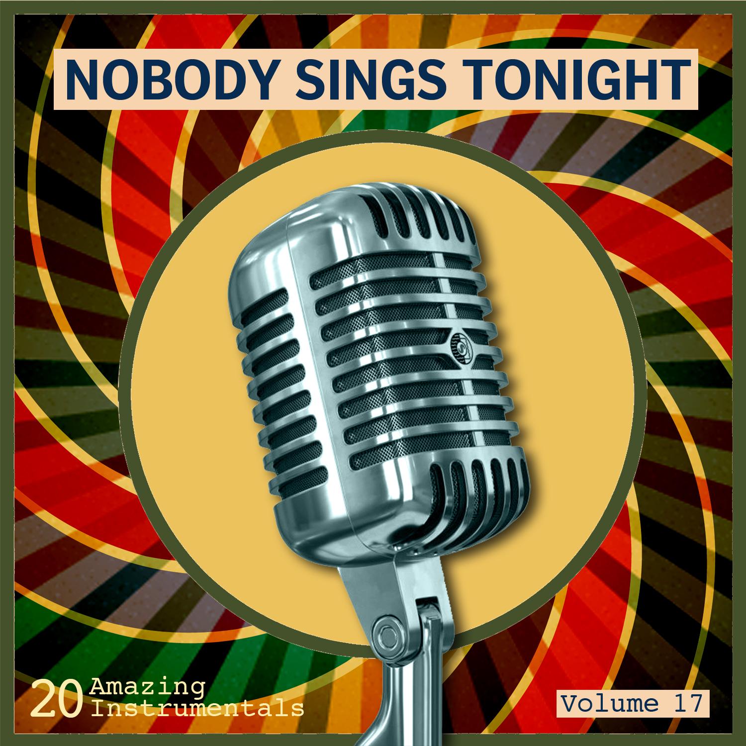 Nobody Sings Tonight: Great Instrumentals Vol. 17