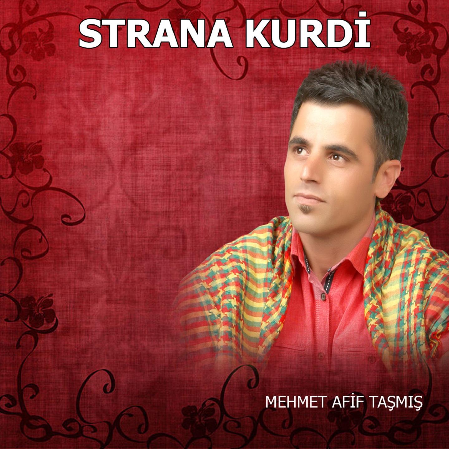 Strana Kurdi