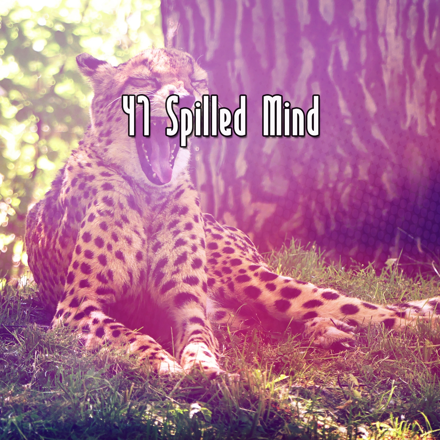 47 Spilled Mind