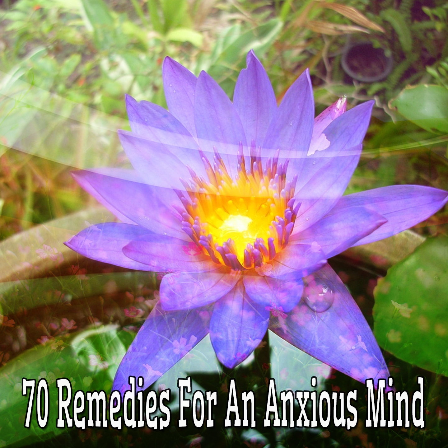 70 Remedies For An Anxious Mind