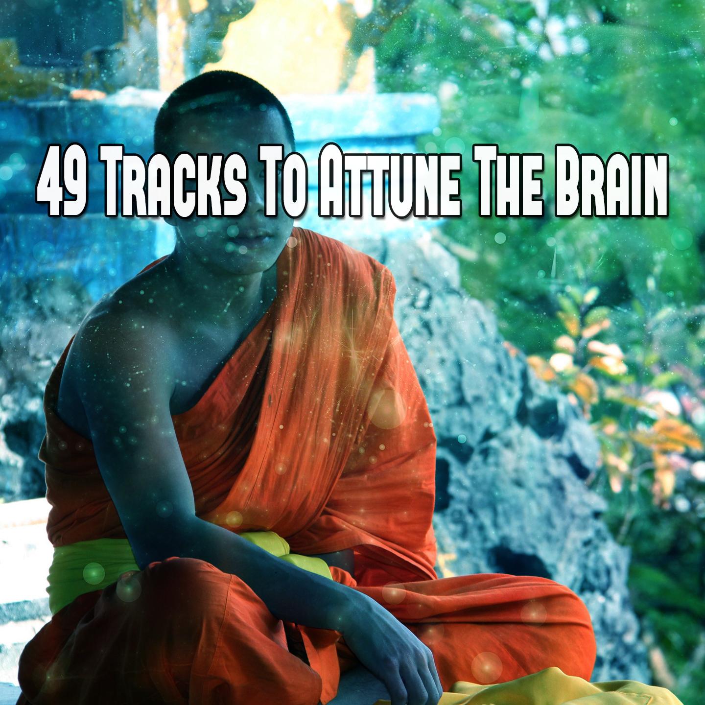 49 Tracks To Attune The Brain