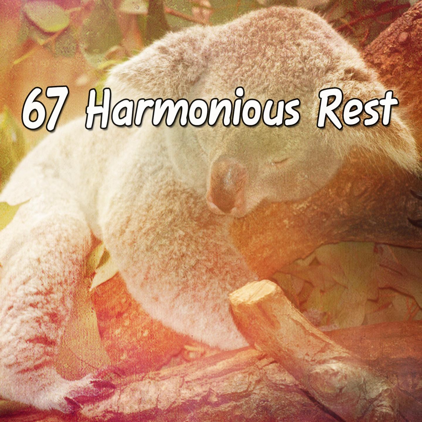 67 Harmonious Rest