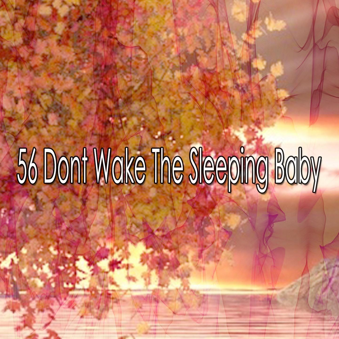 56 Dont Wake The Sleeping Baby