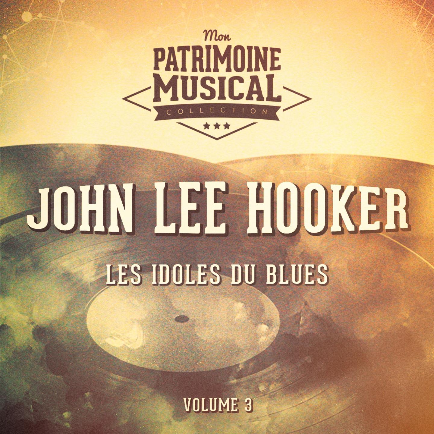 Les Idoles Du Blues: John Lee Hooker, Vol. 3