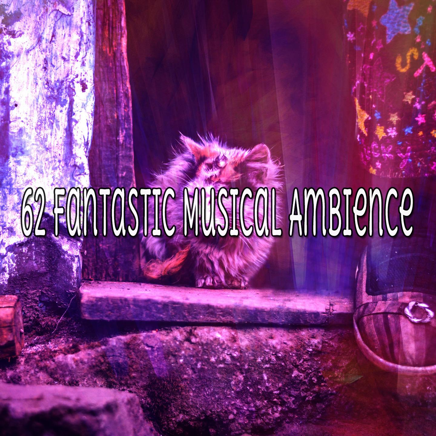 62 Fantastic Musical Ambience