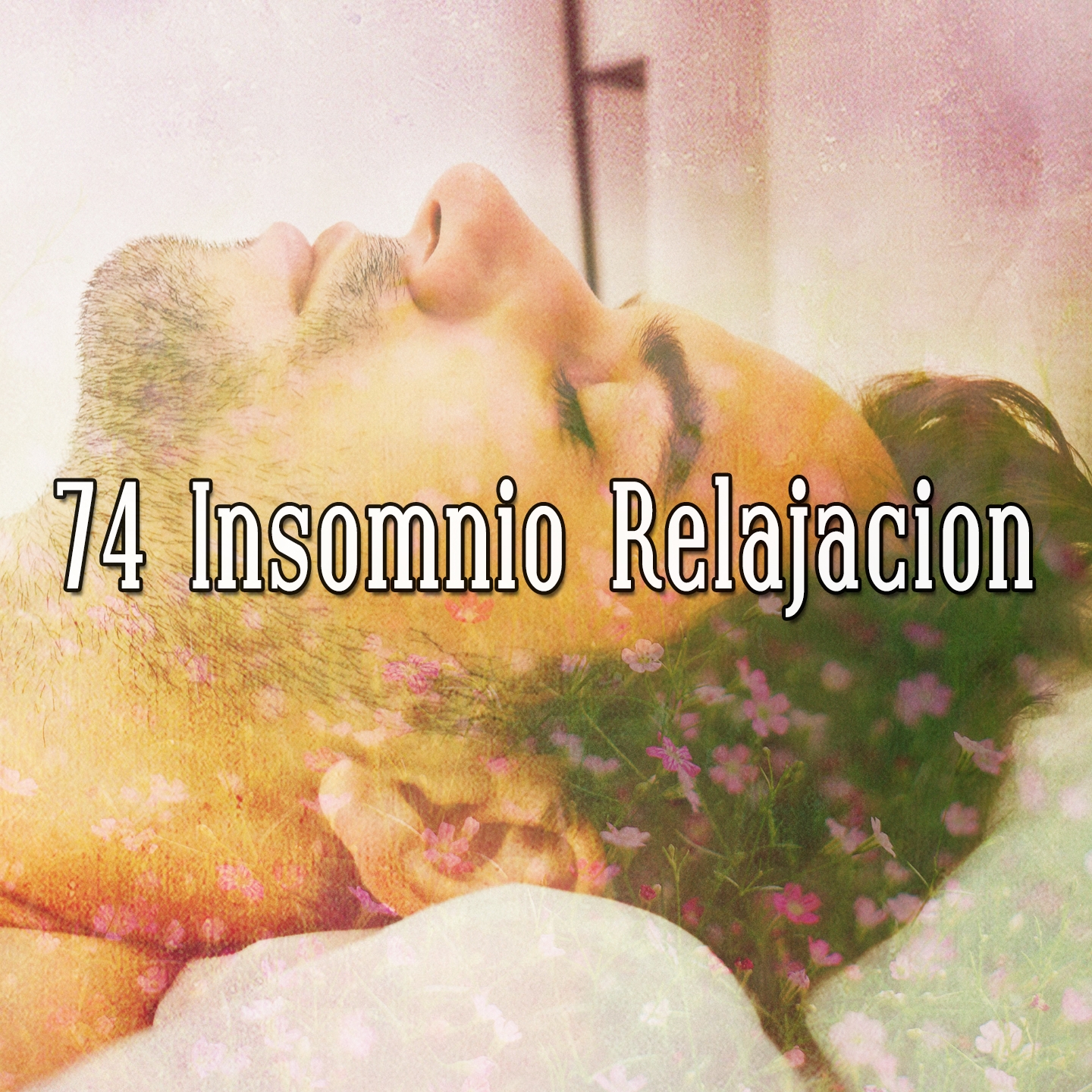 74 Insomnio Relajacion