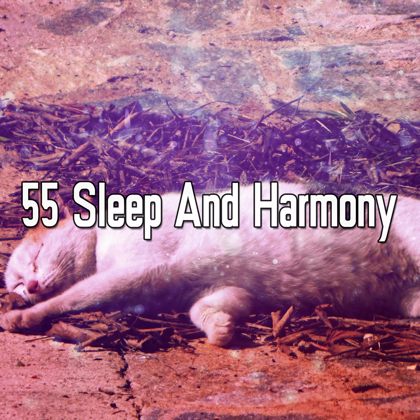 55 Sleep And Harmony