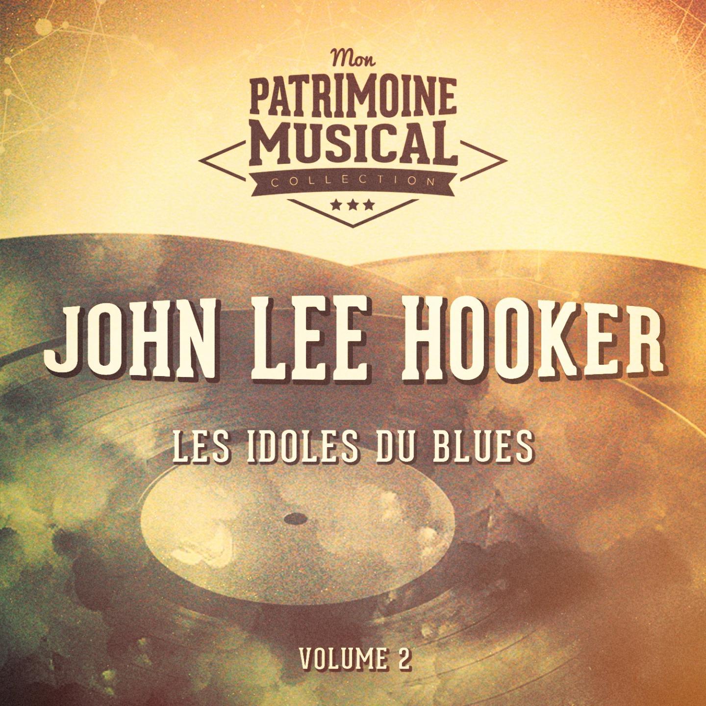 Les Idoles Du Blues: John Lee Hooker, Vol. 2