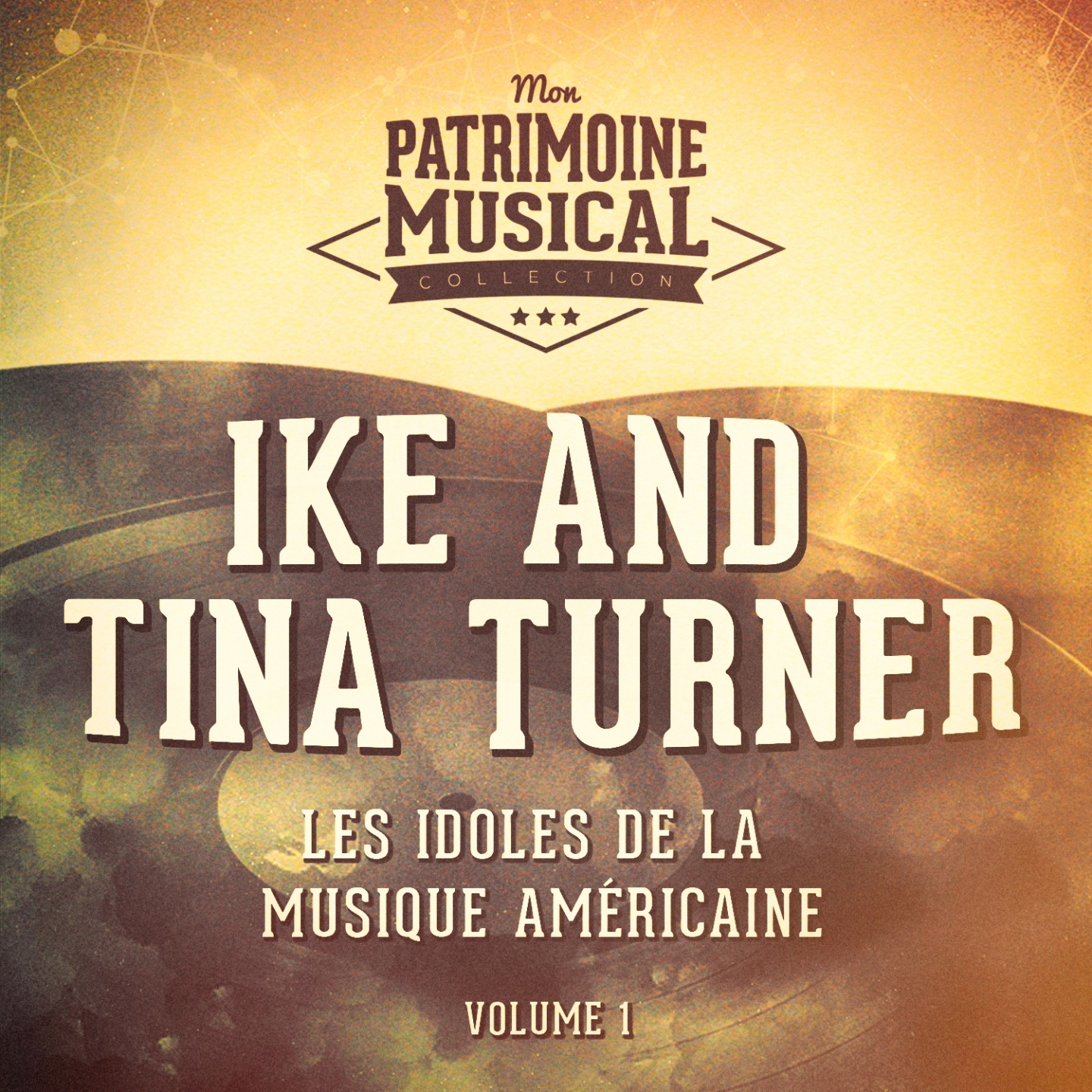 Les Idoles De La Musique Américaine: Ike and Tina Turner, Vol. 1