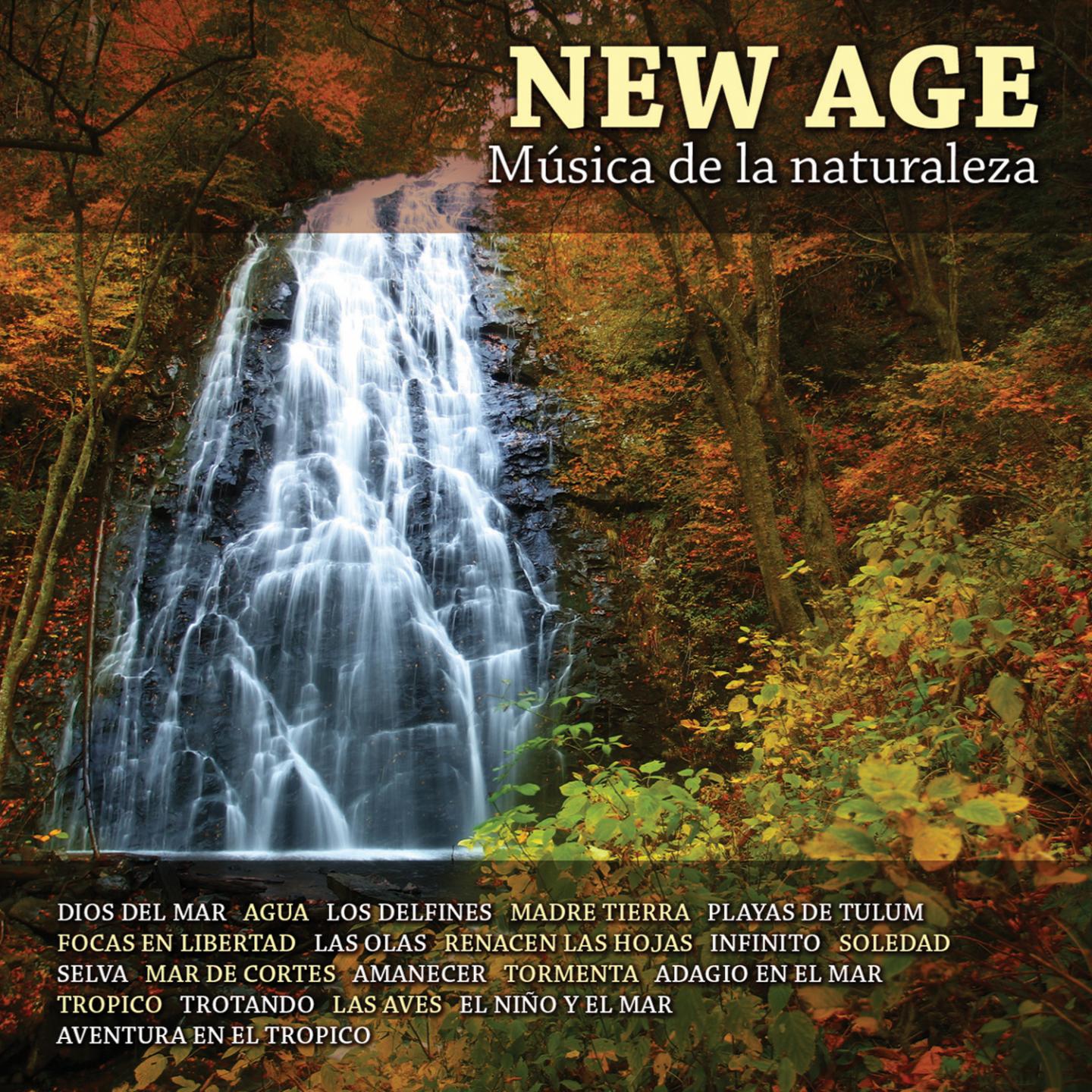 New Age: Música de la Naturaleza