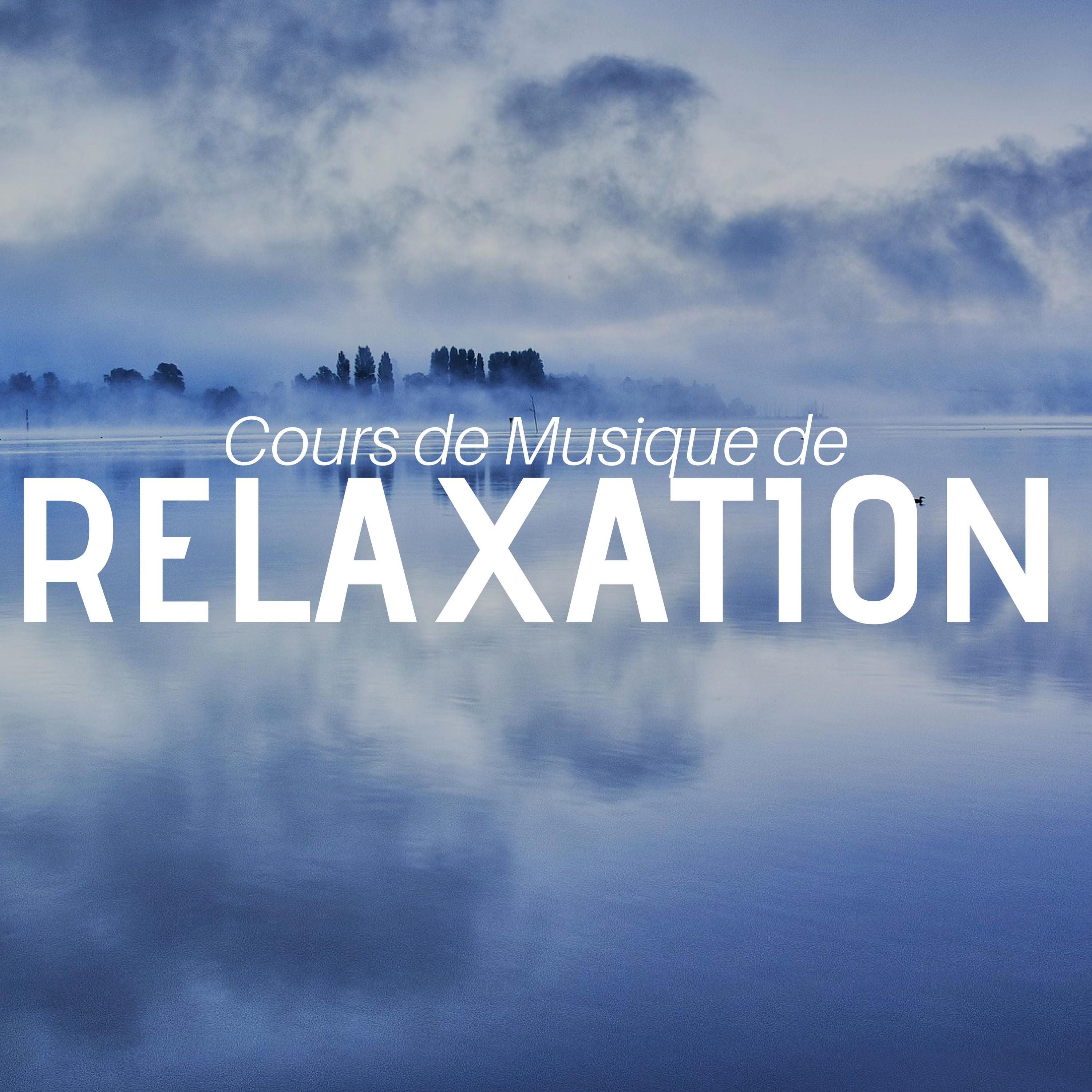 Cours de Musique de Relaxation: 23 Sons Apaisants