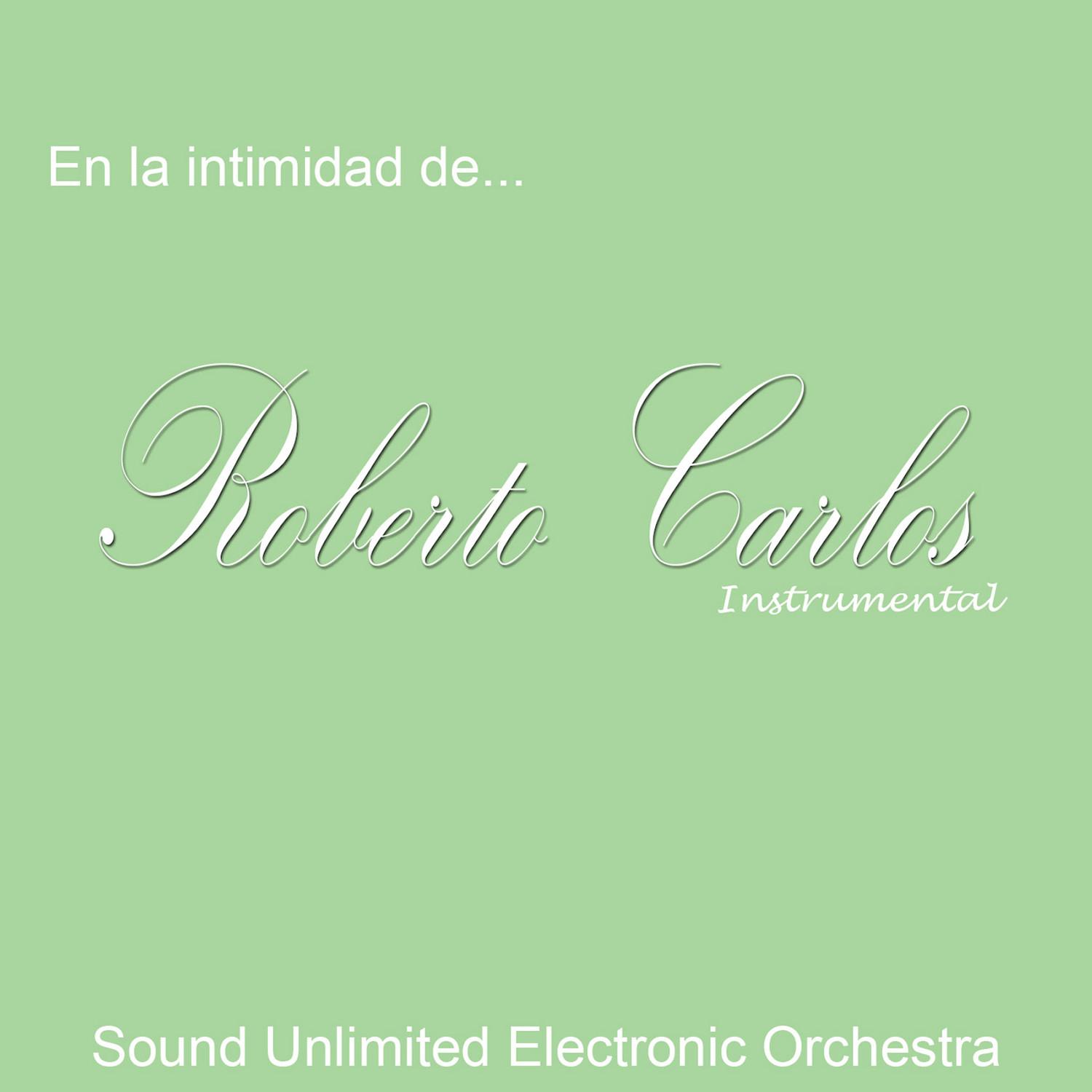 En La Intimidad De Roberto Carlos (Instrumental)