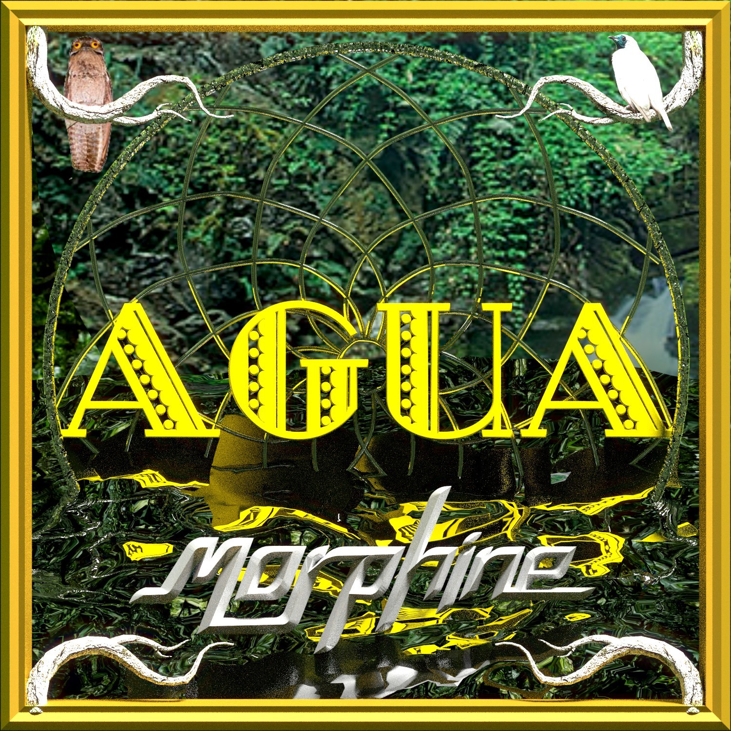 Água