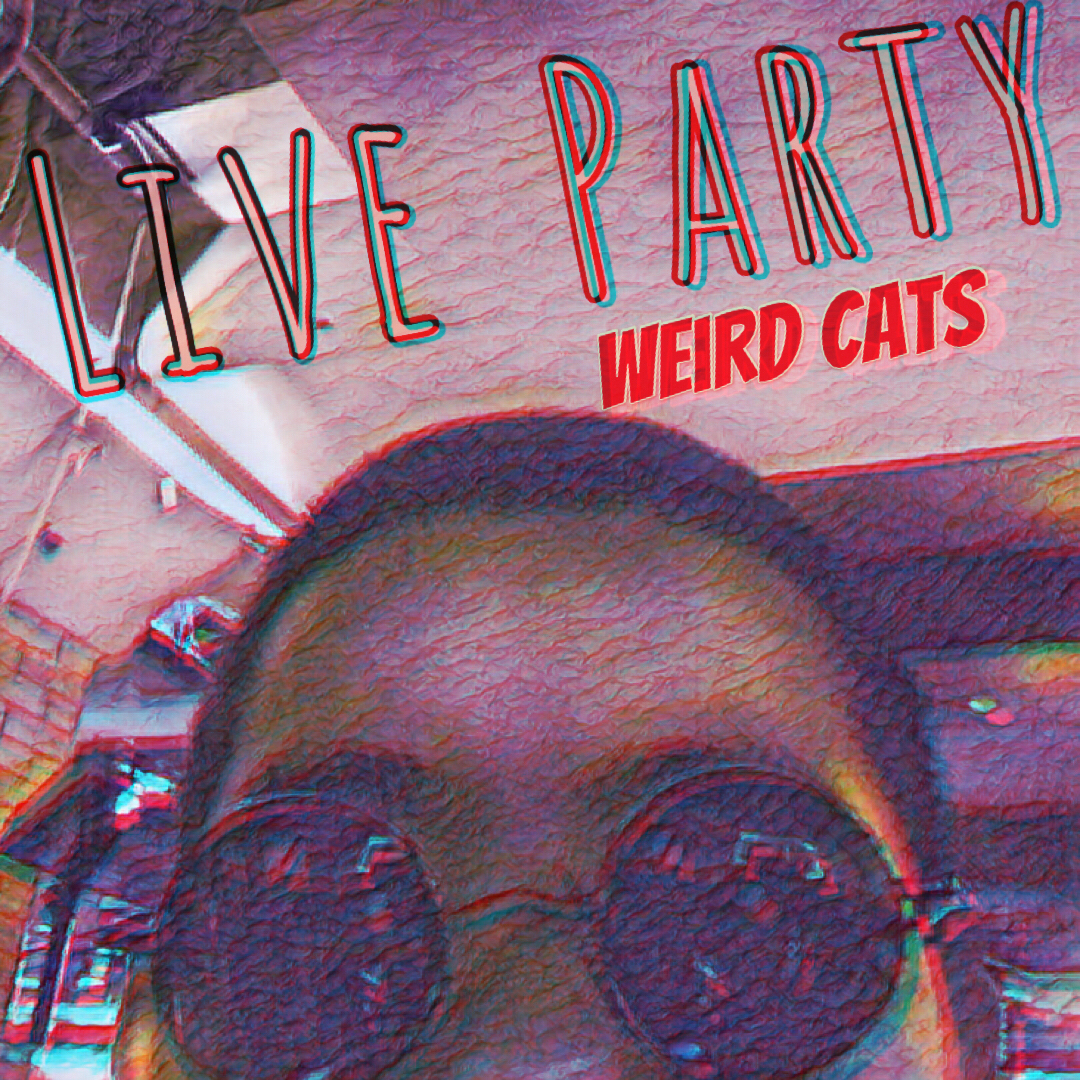 Live Party Part 2