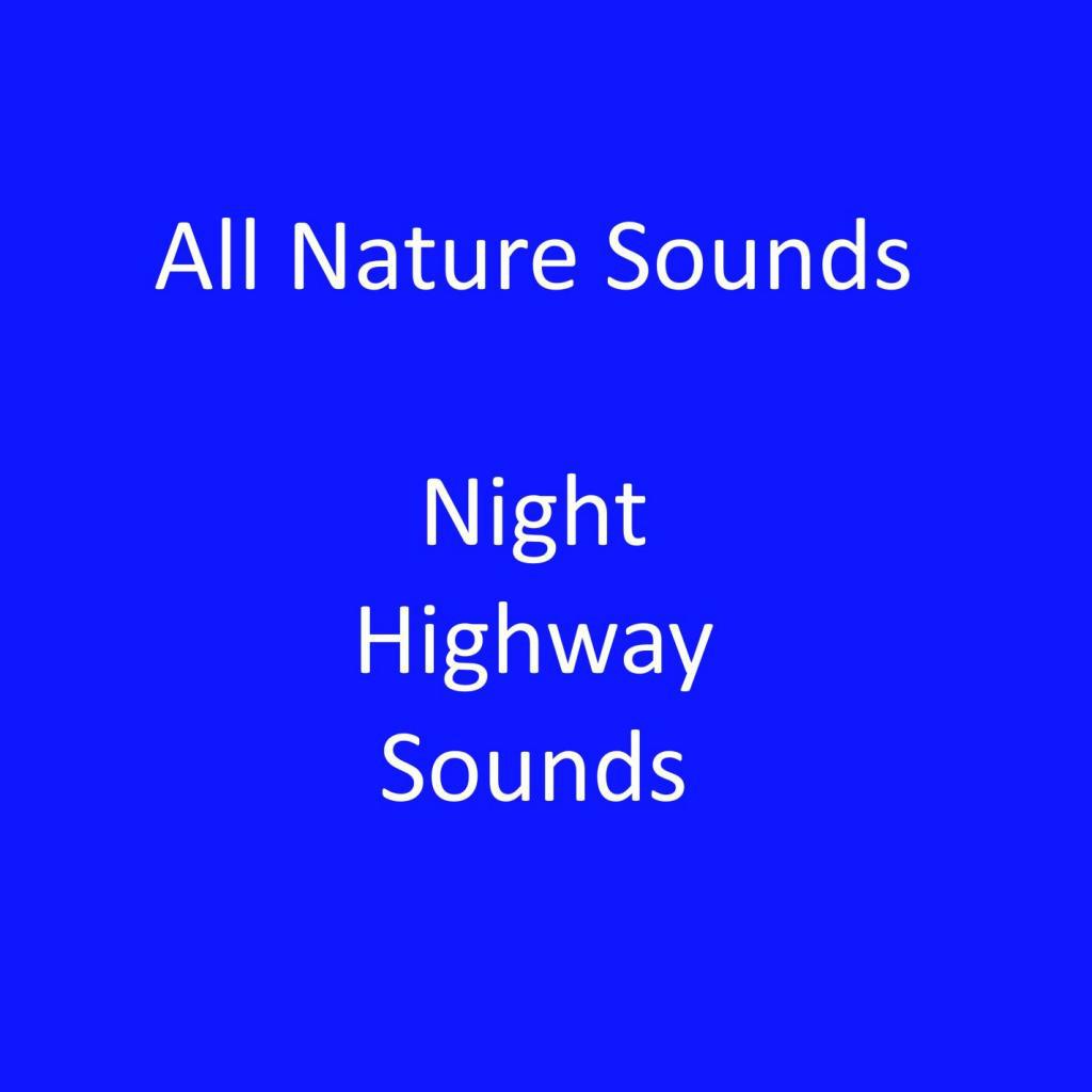 Quieter Section of the Night Highway