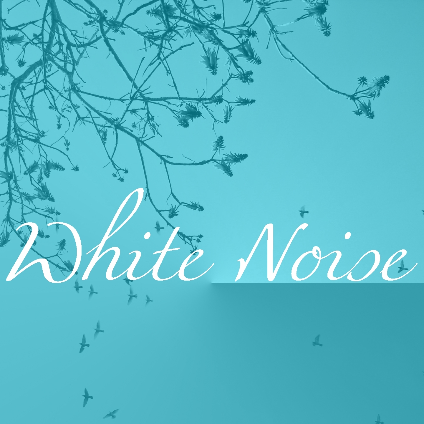 Night Time White Noise