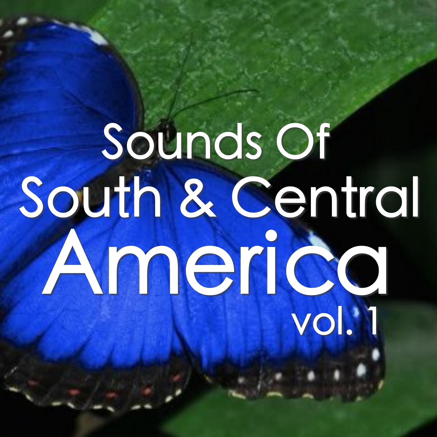 Sounds Of South & Central America, vol. 1