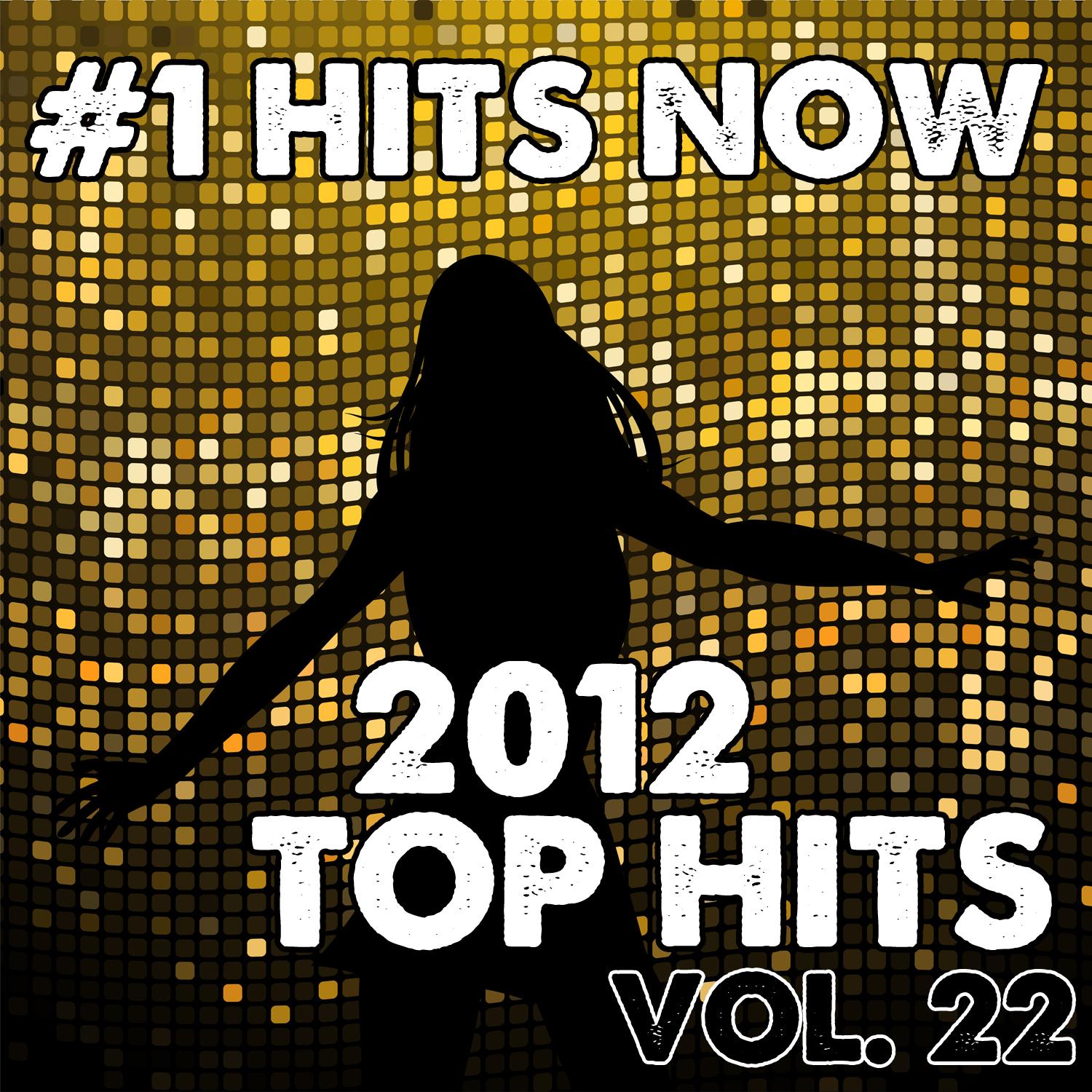 2012 Top Hits, Vol. 22