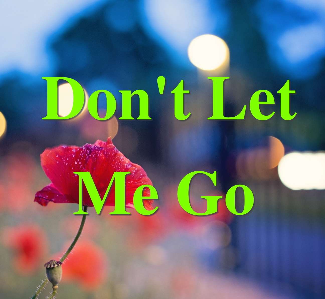 Don't Let Me Go