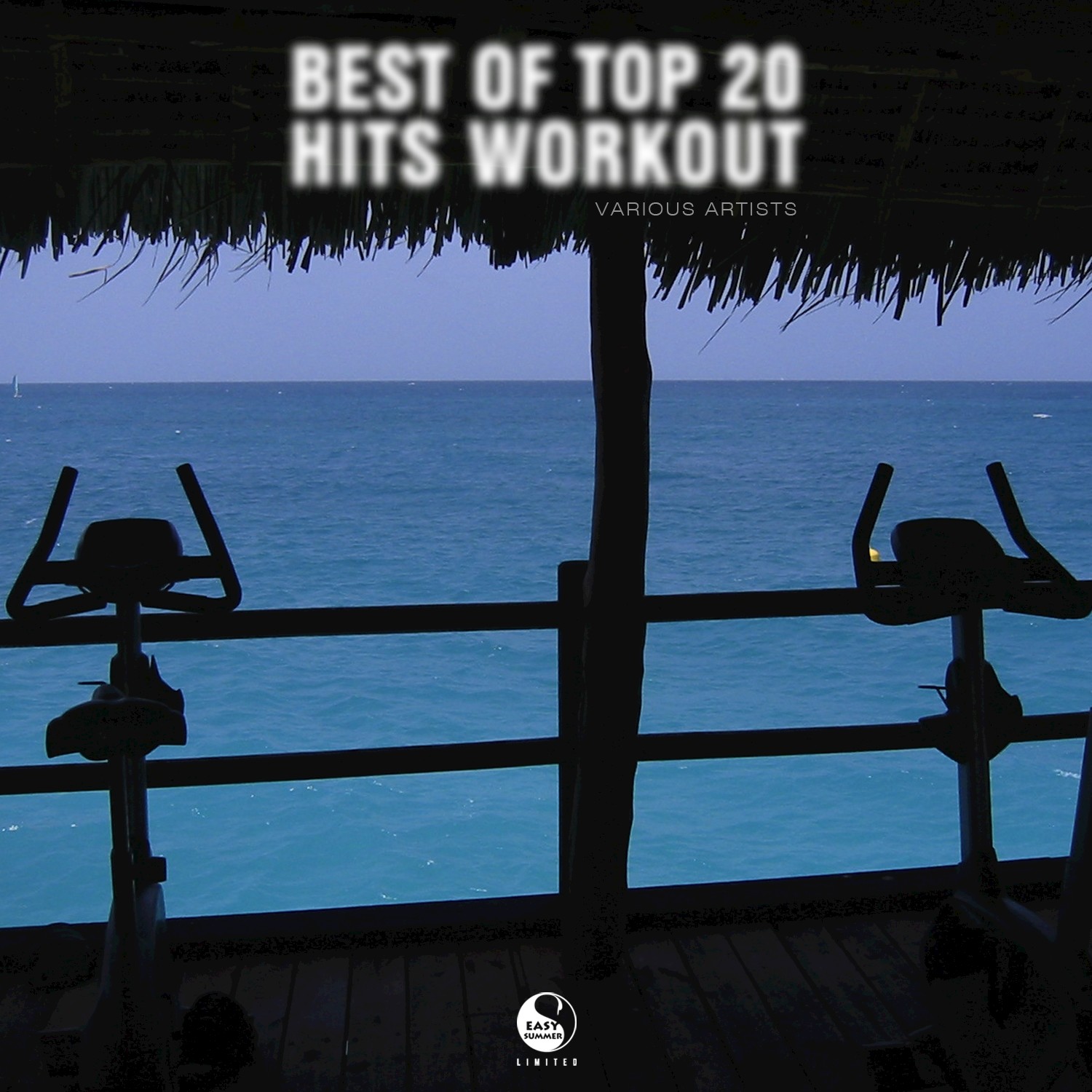 Best of 20 Top Hits Workout