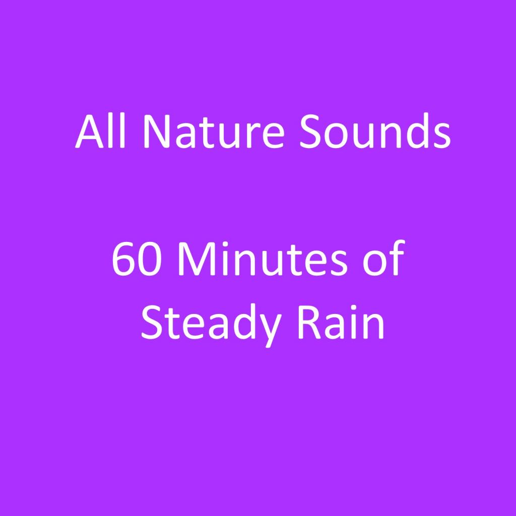 Sound of Steady Rain