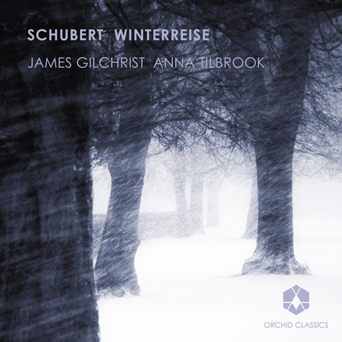 Winterreise, Op. 89, D. 911: No. 7. Auf dem Flusse