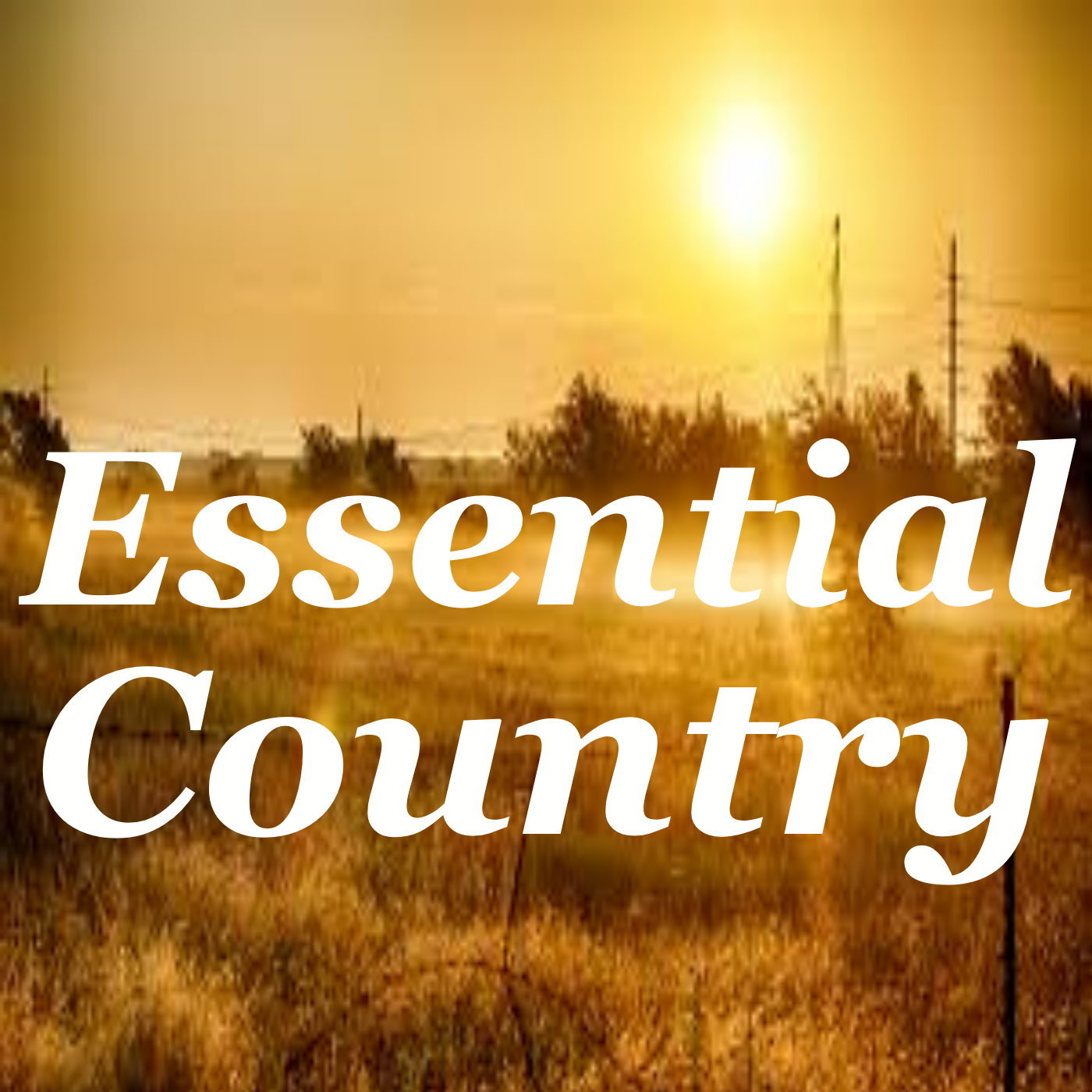 Essential Country