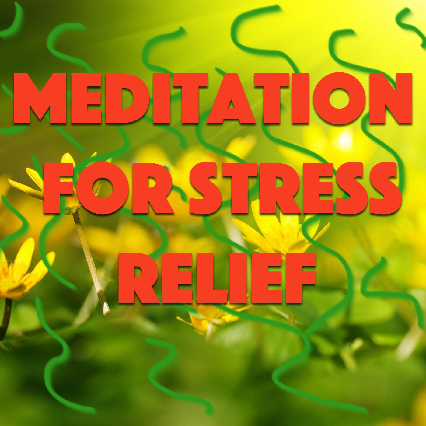 Meditating For Stress Relief