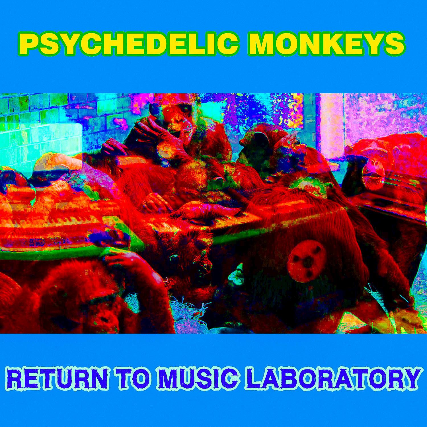 Chimps On Acid