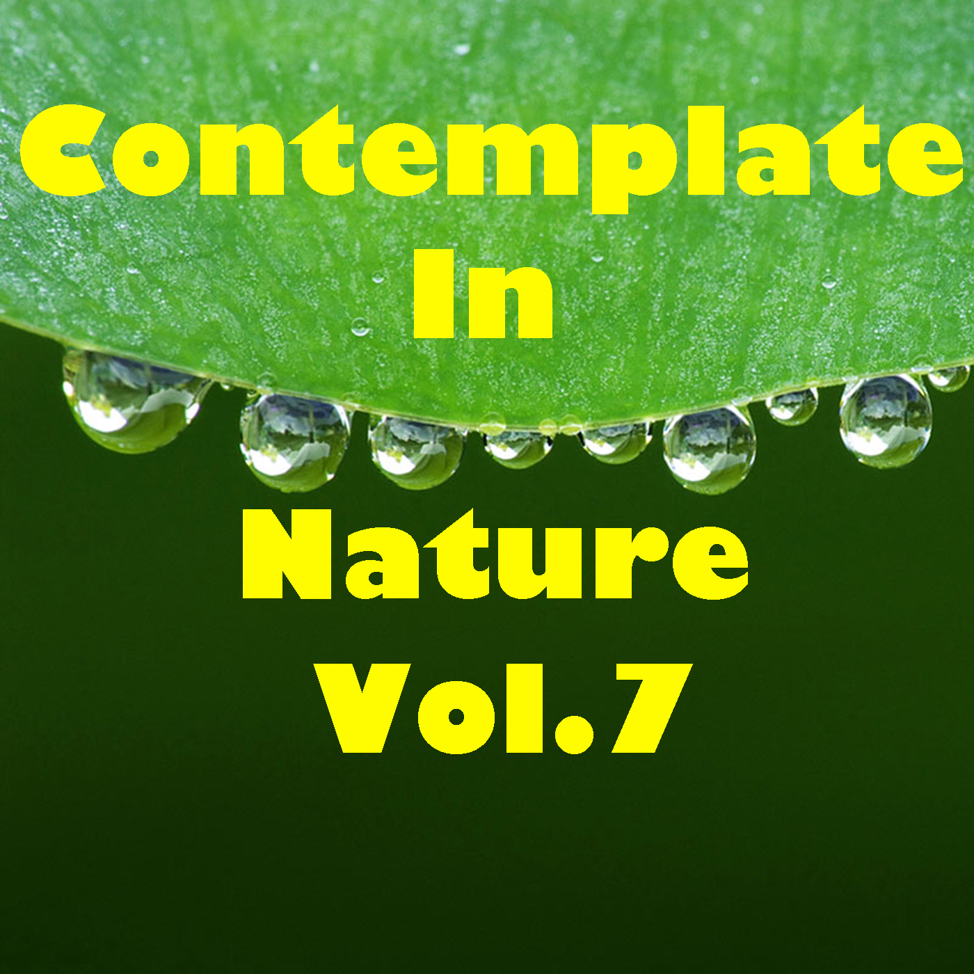 Contemplate In Nature, Vol.7