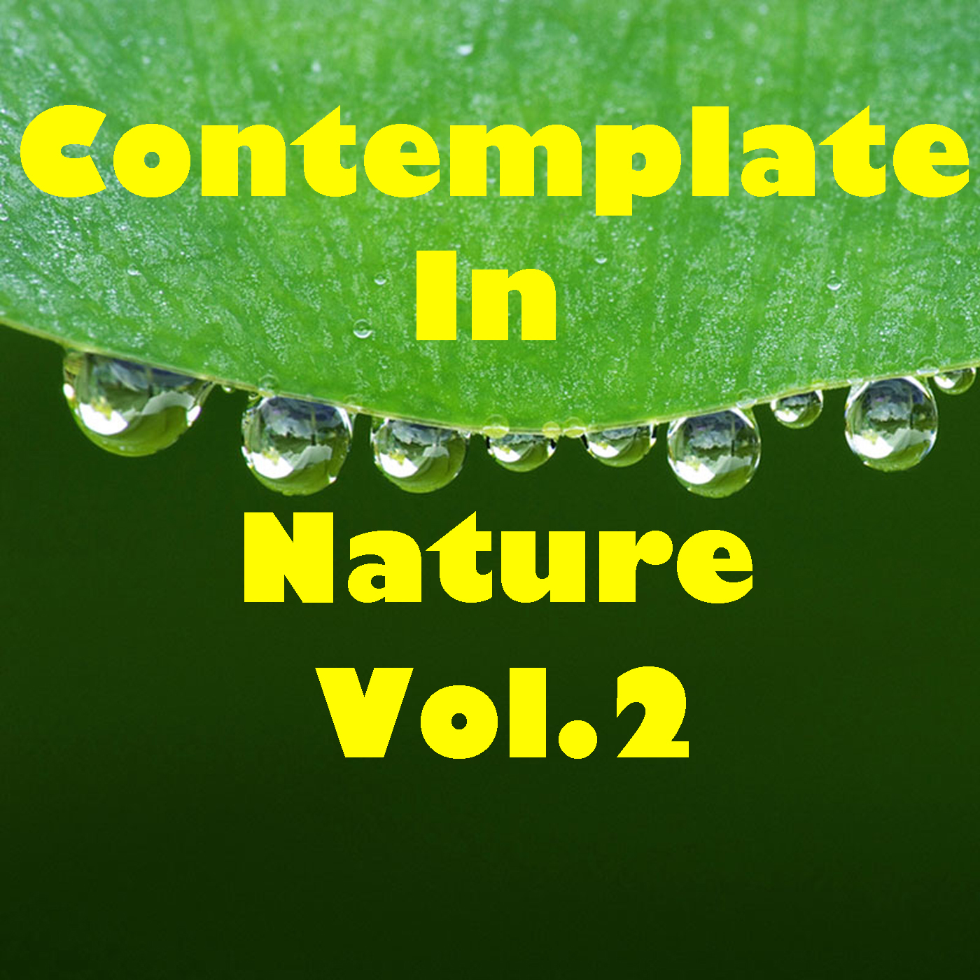 Contemplate In Nature, Vol.2