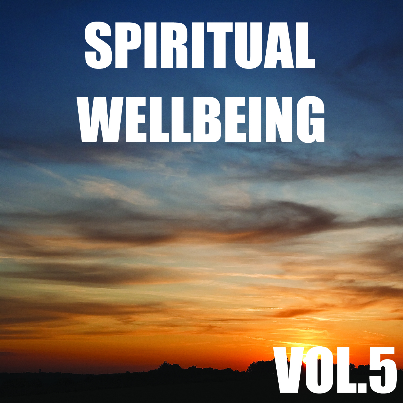 Spiritual Wellbeing, Vol.5