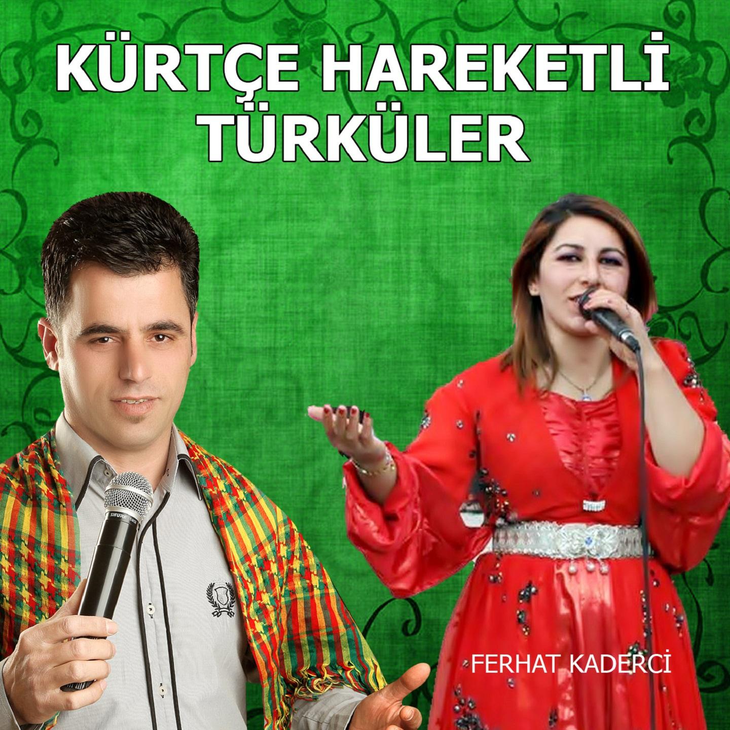 Kürtçe Hareketli Türküler