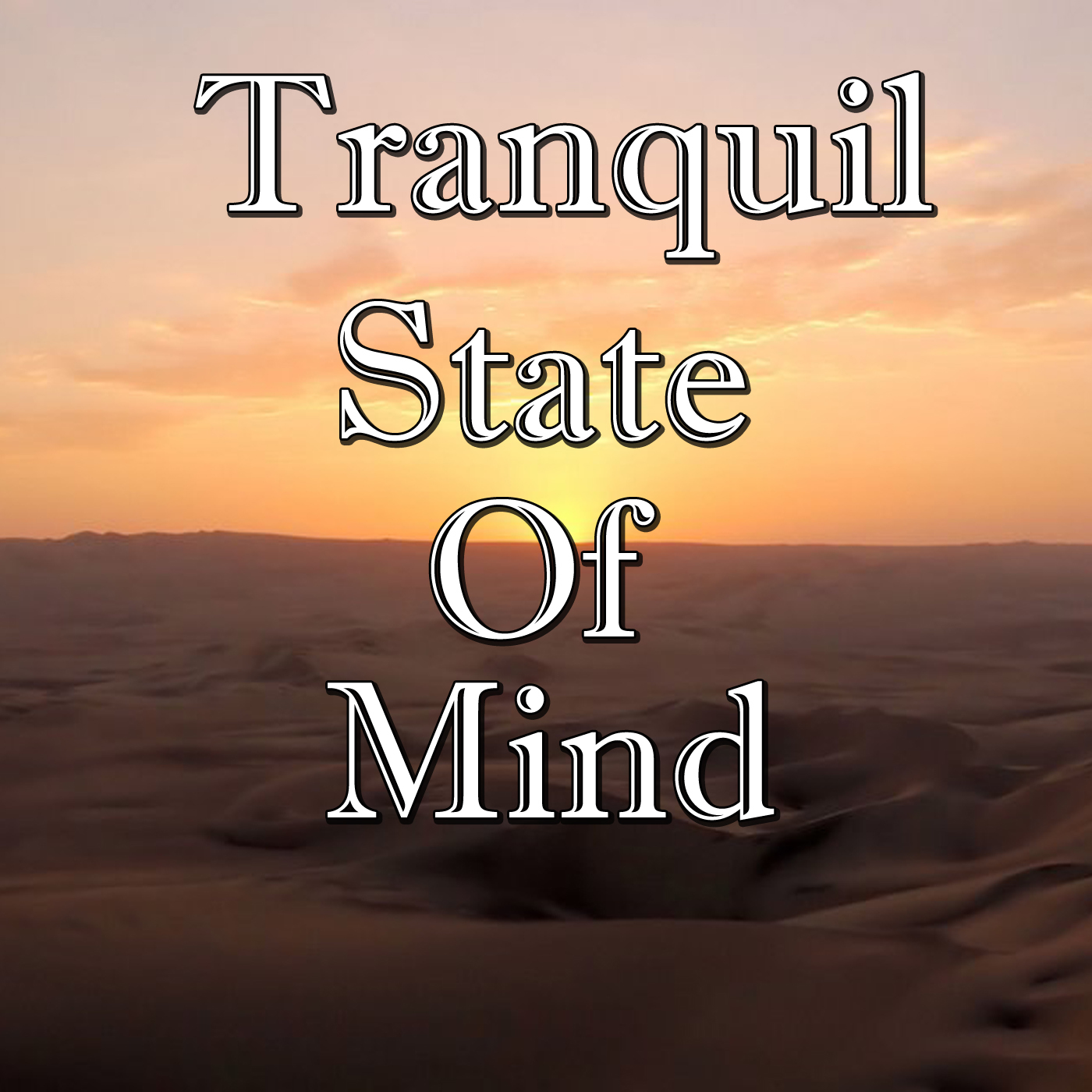 Tranquil State Of Mind, Vol.2