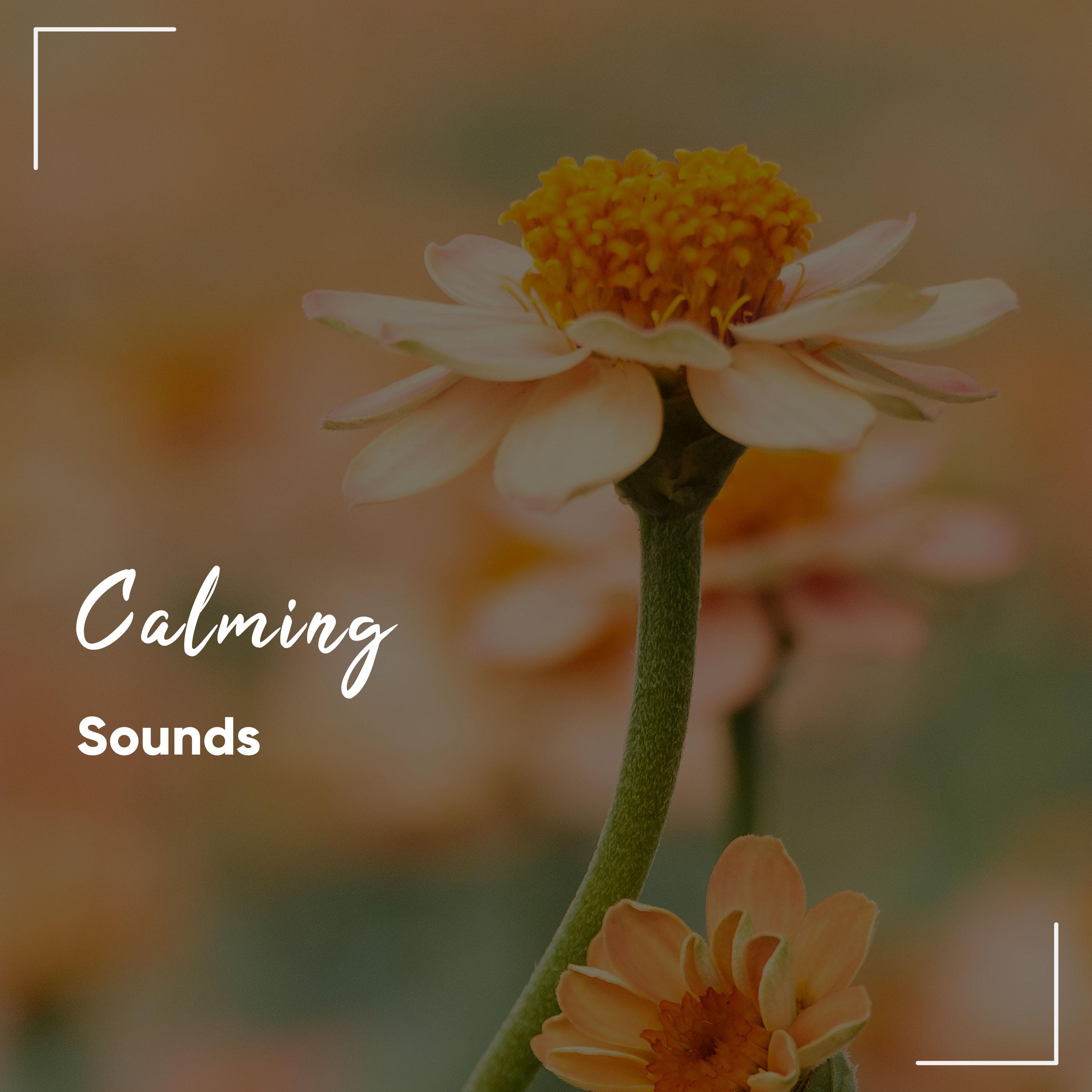 #17 Calming Songs