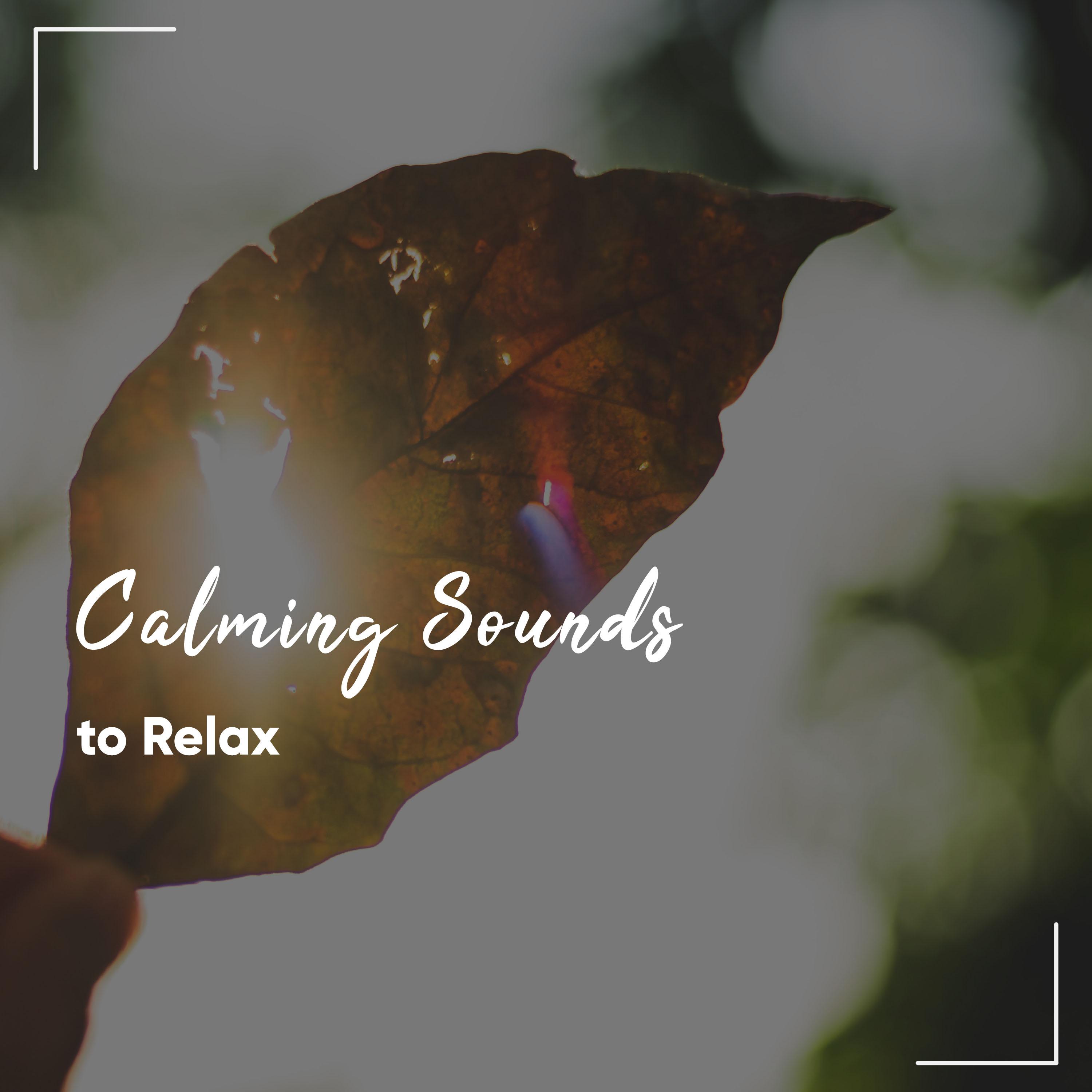 #18 Naturally Calming Sounds to Relax