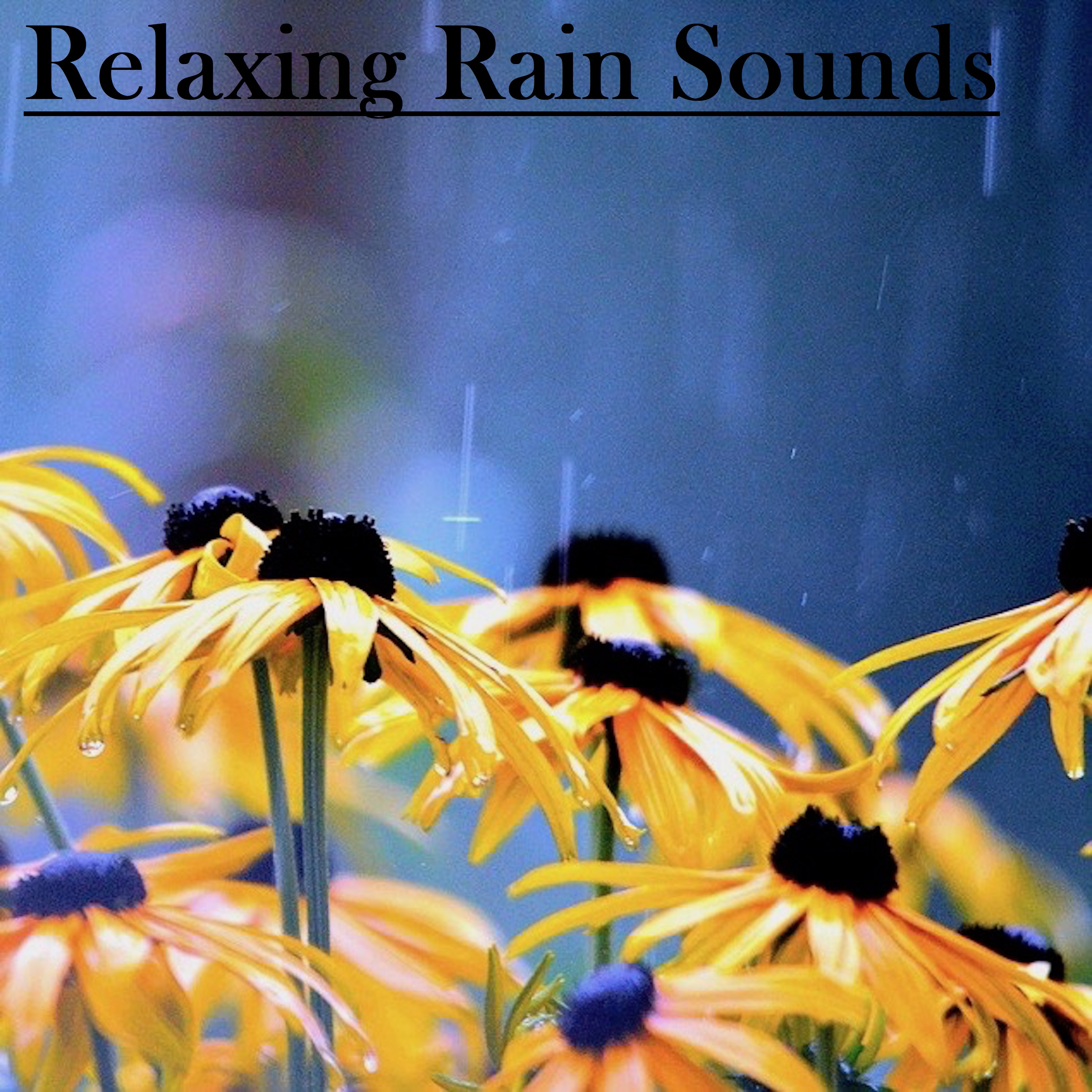 18 Relaxing Rain Sounds - No Fade