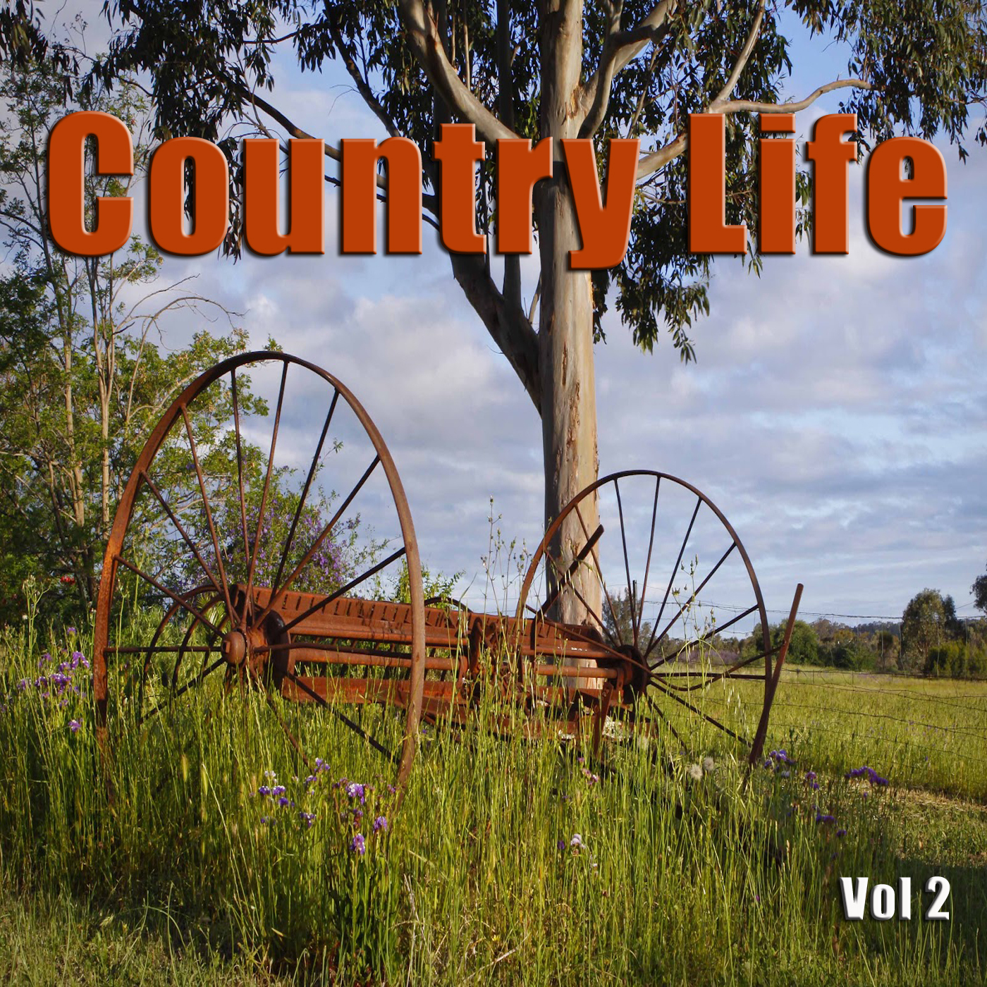 Country Life, Vol. 2