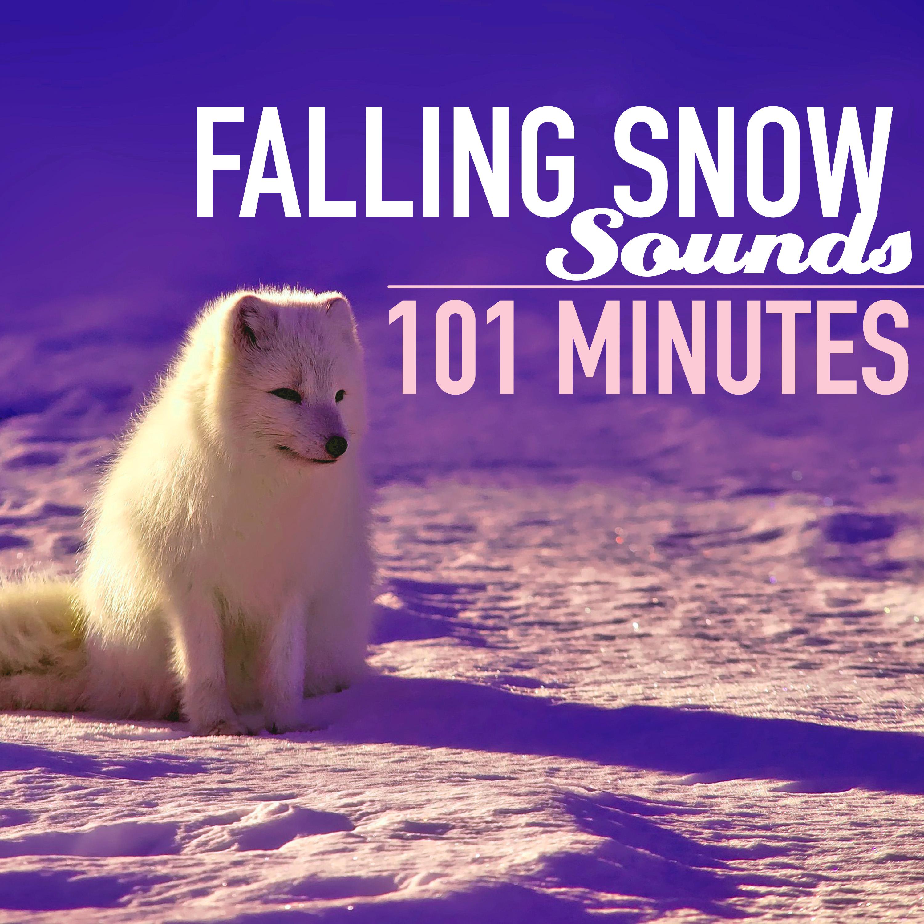 Falling Snow Sounds 101 Minutes - Winter Fresh Snowing Sound of Nature, 1 Hour of Peaceful Sleep Inducing